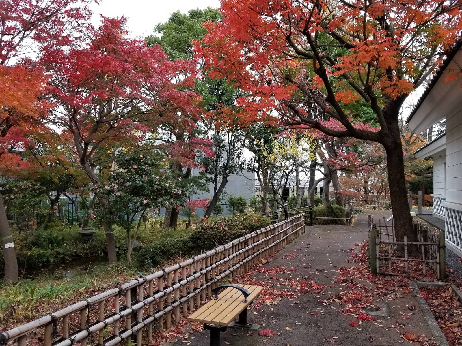 Soho Park Surroundings