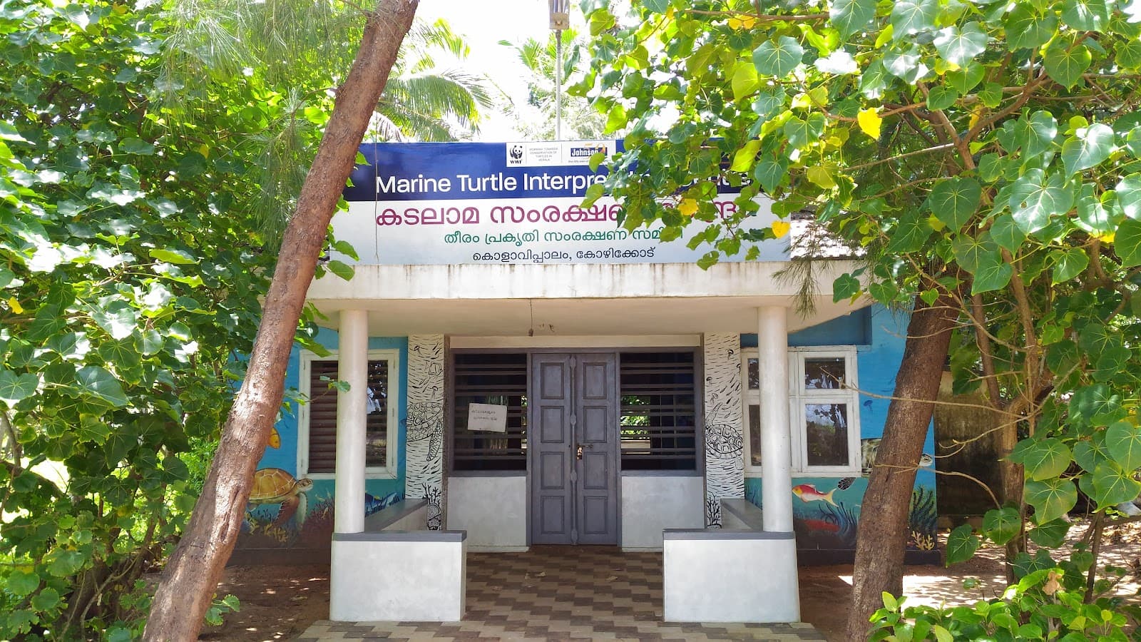 Kolavipalam Turtle Sanctuary - Image 1