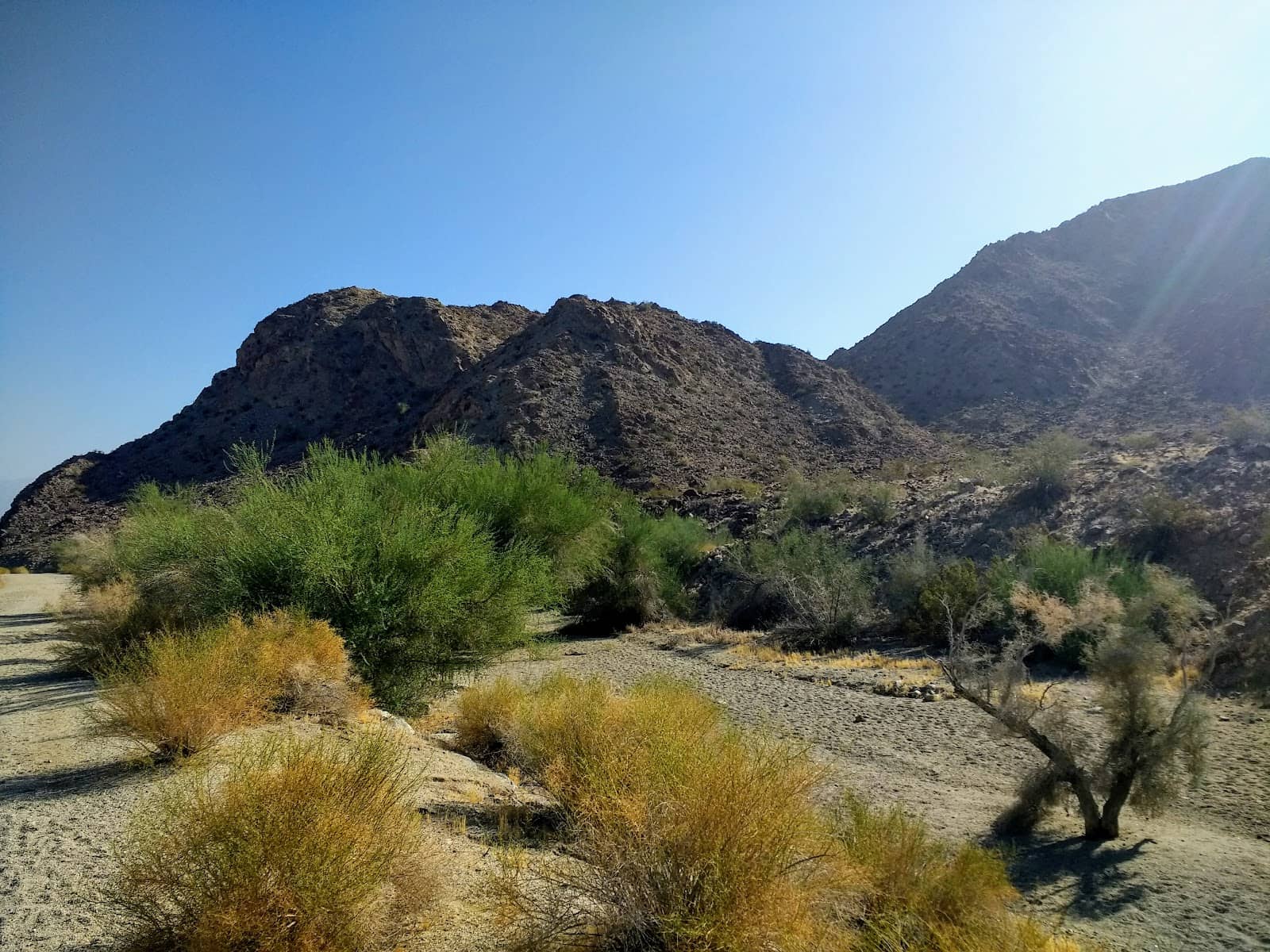 Diverse Trail Network