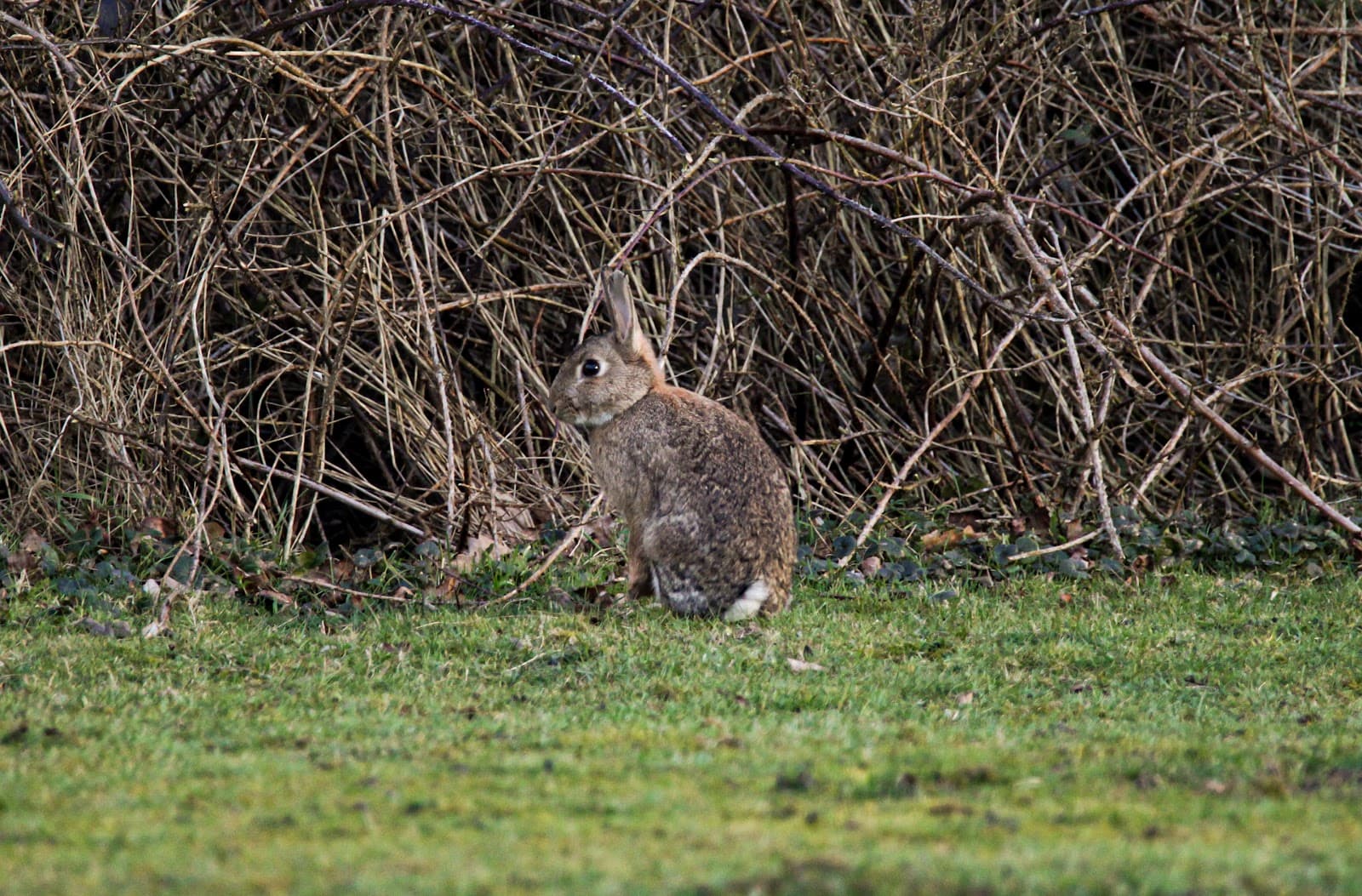 Mutford Lock - Image 1