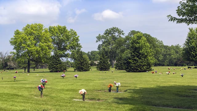 Memory Gardens Cemetery - Image 1