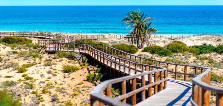 Arenales del Sol Beach - Image 1