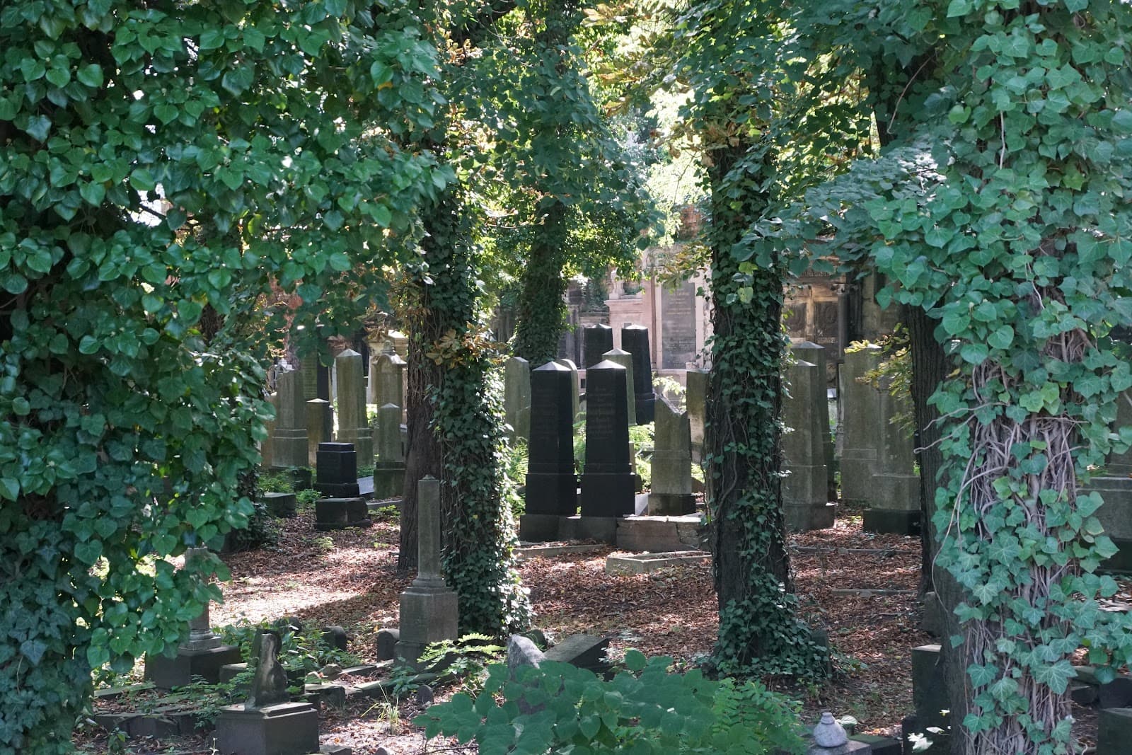 Katowice Jewish Cemetery - Image 1