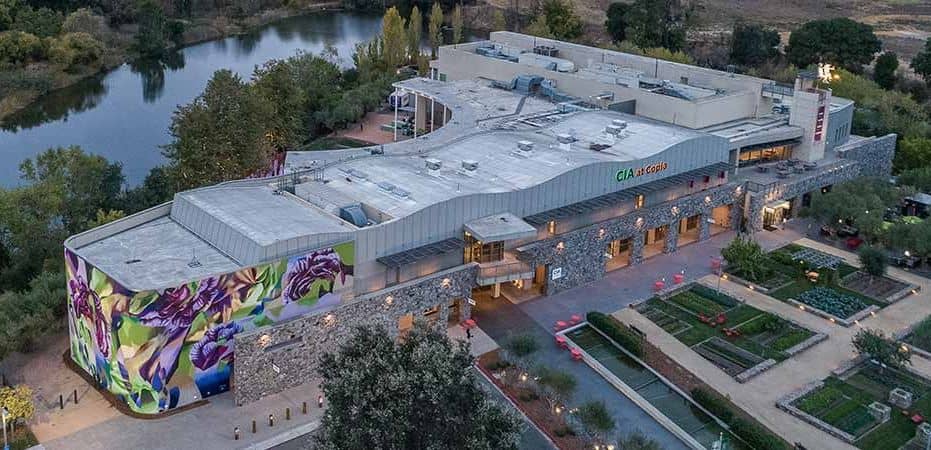 The Grove at CIA Copia