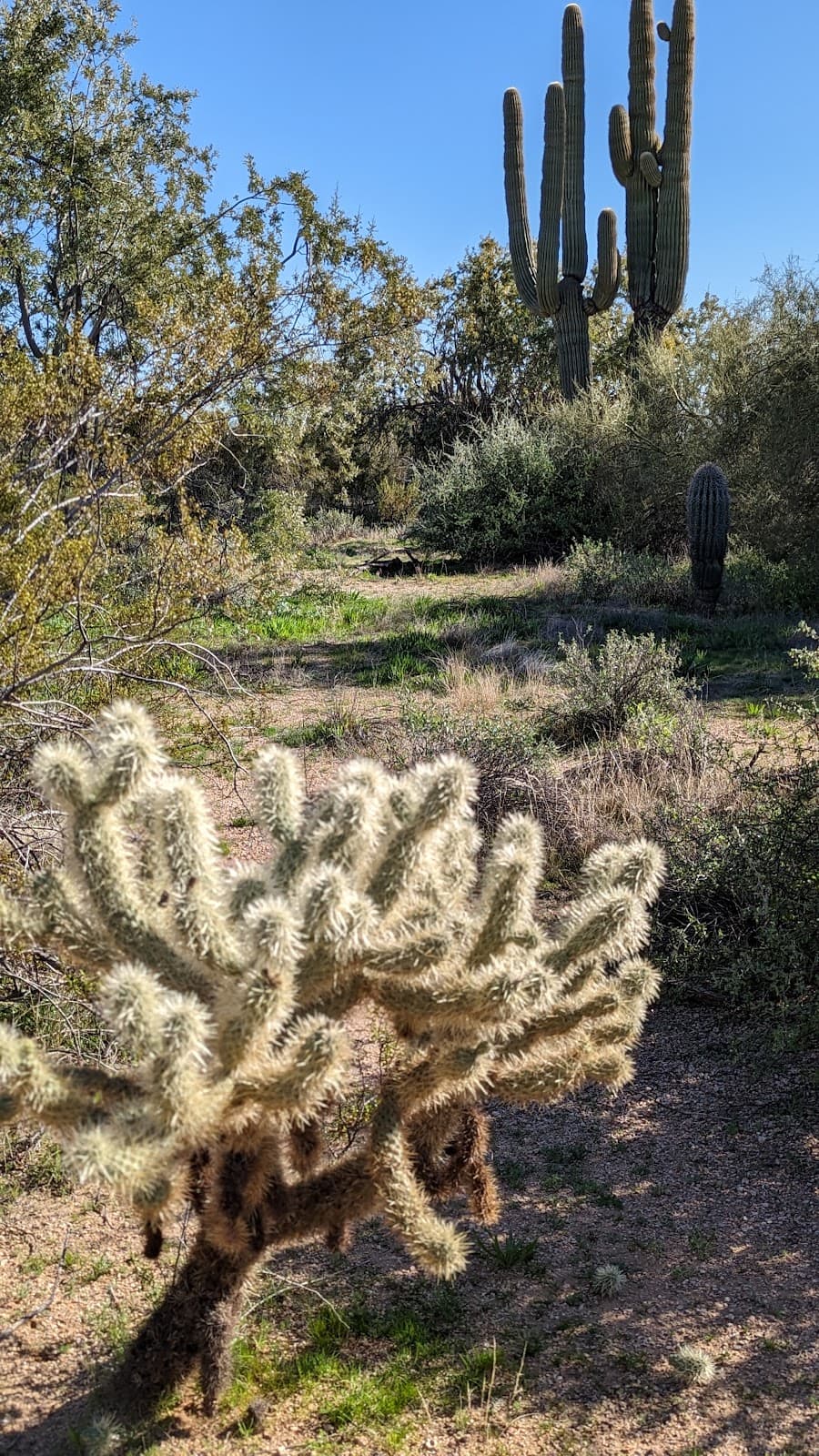 North Scottsdale - Image 1