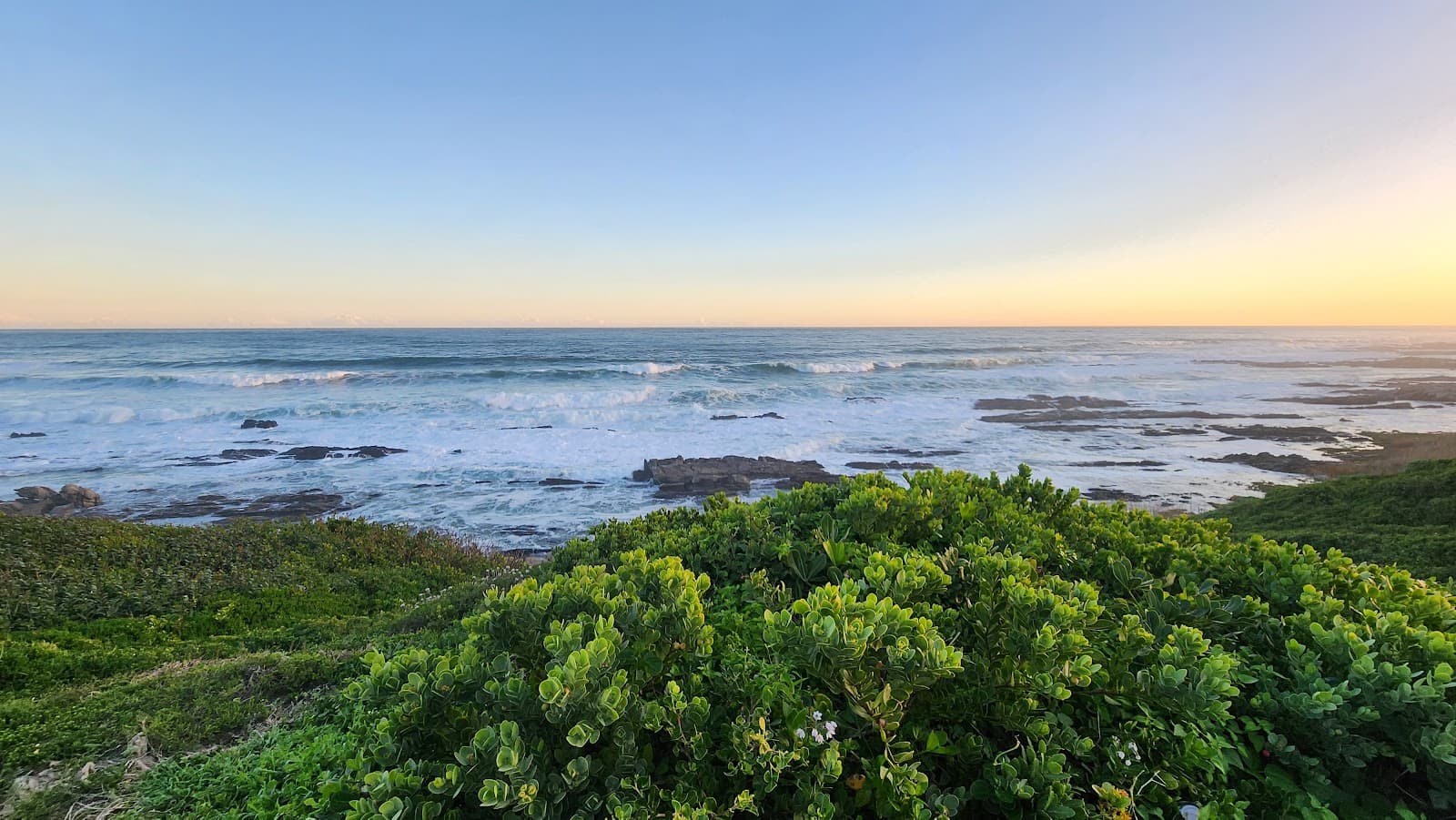 Schoenmakerskop - Image 1