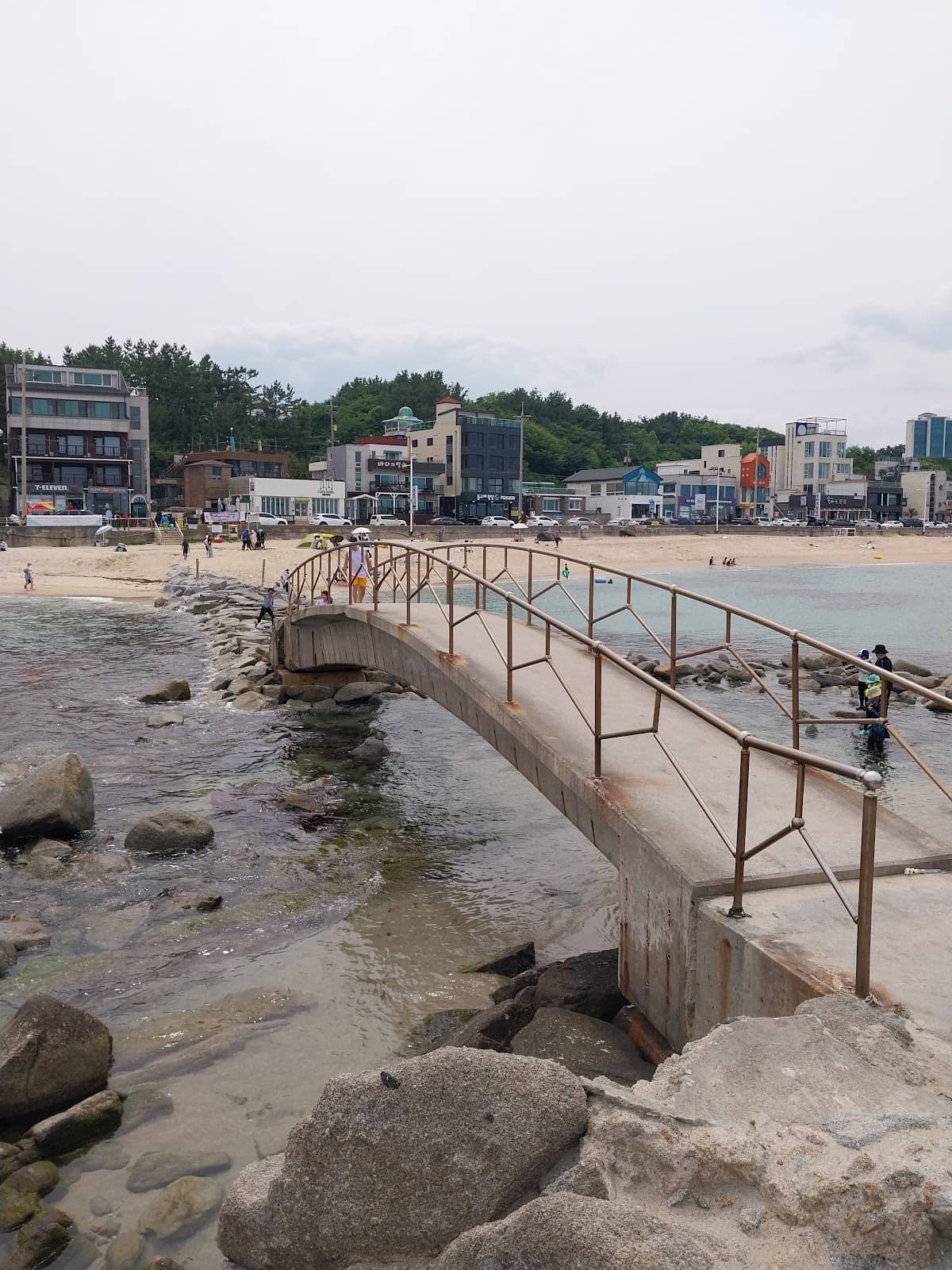 Michelin-Inspired Bites