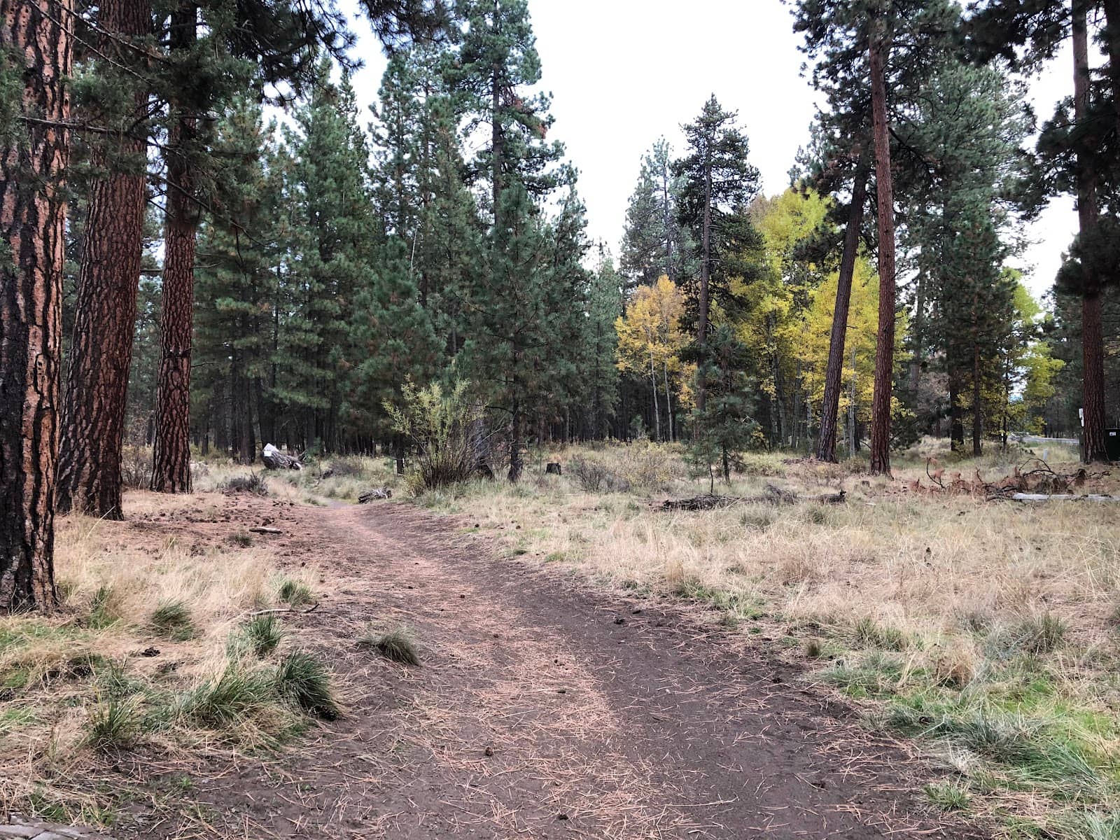 Challenging Rock Gardens