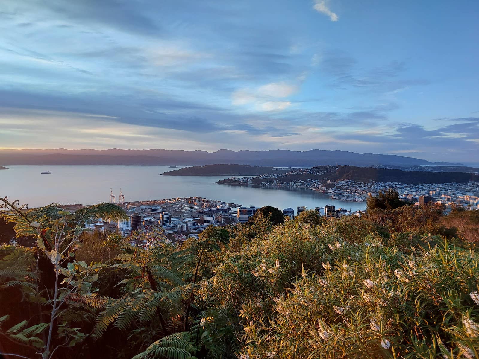 Native Flora & Fauna