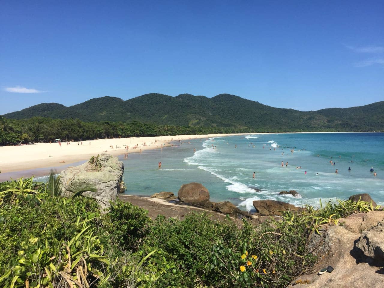 Atlantic Forest Hike