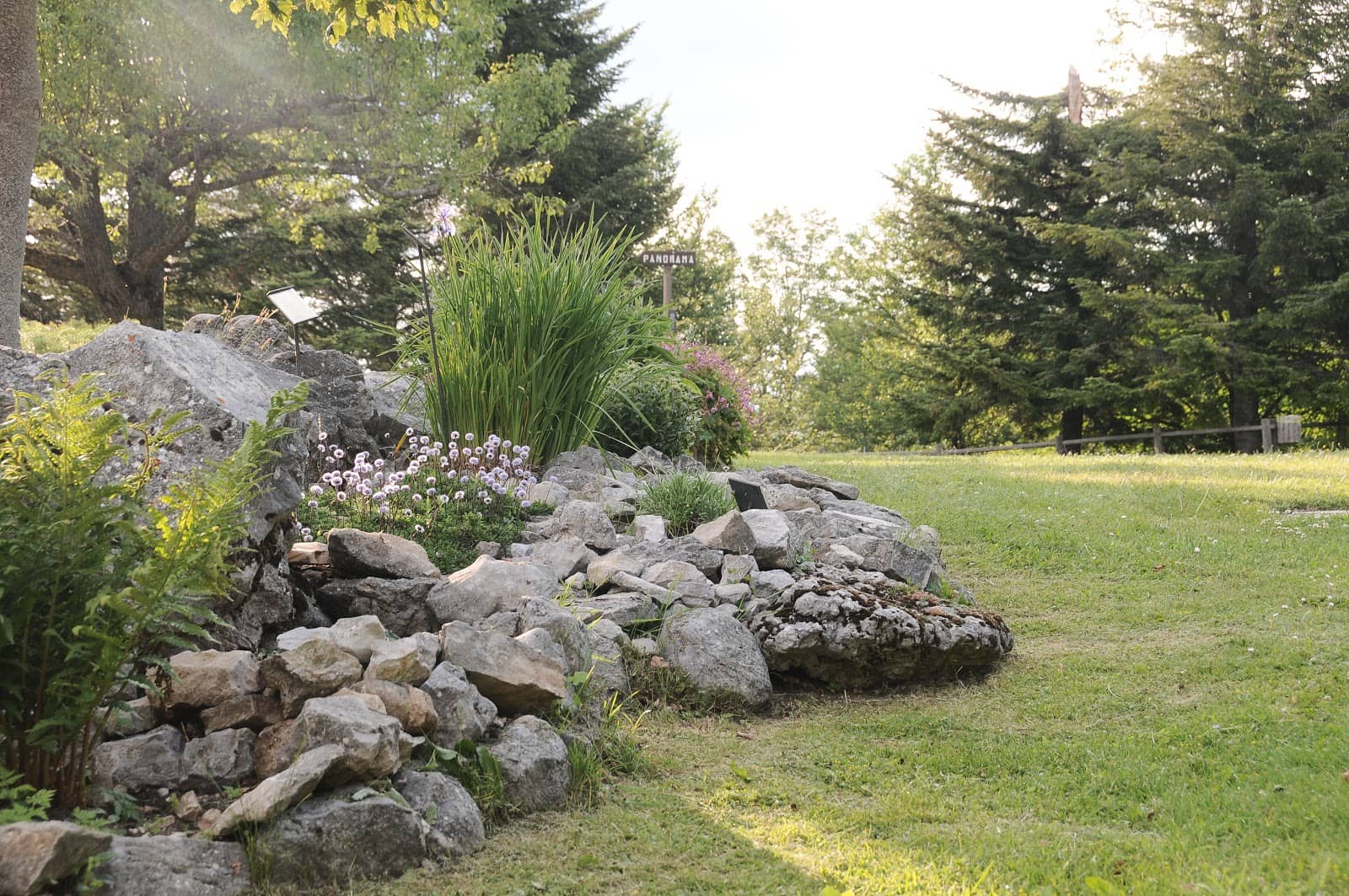 Capracotta's Natural Gem