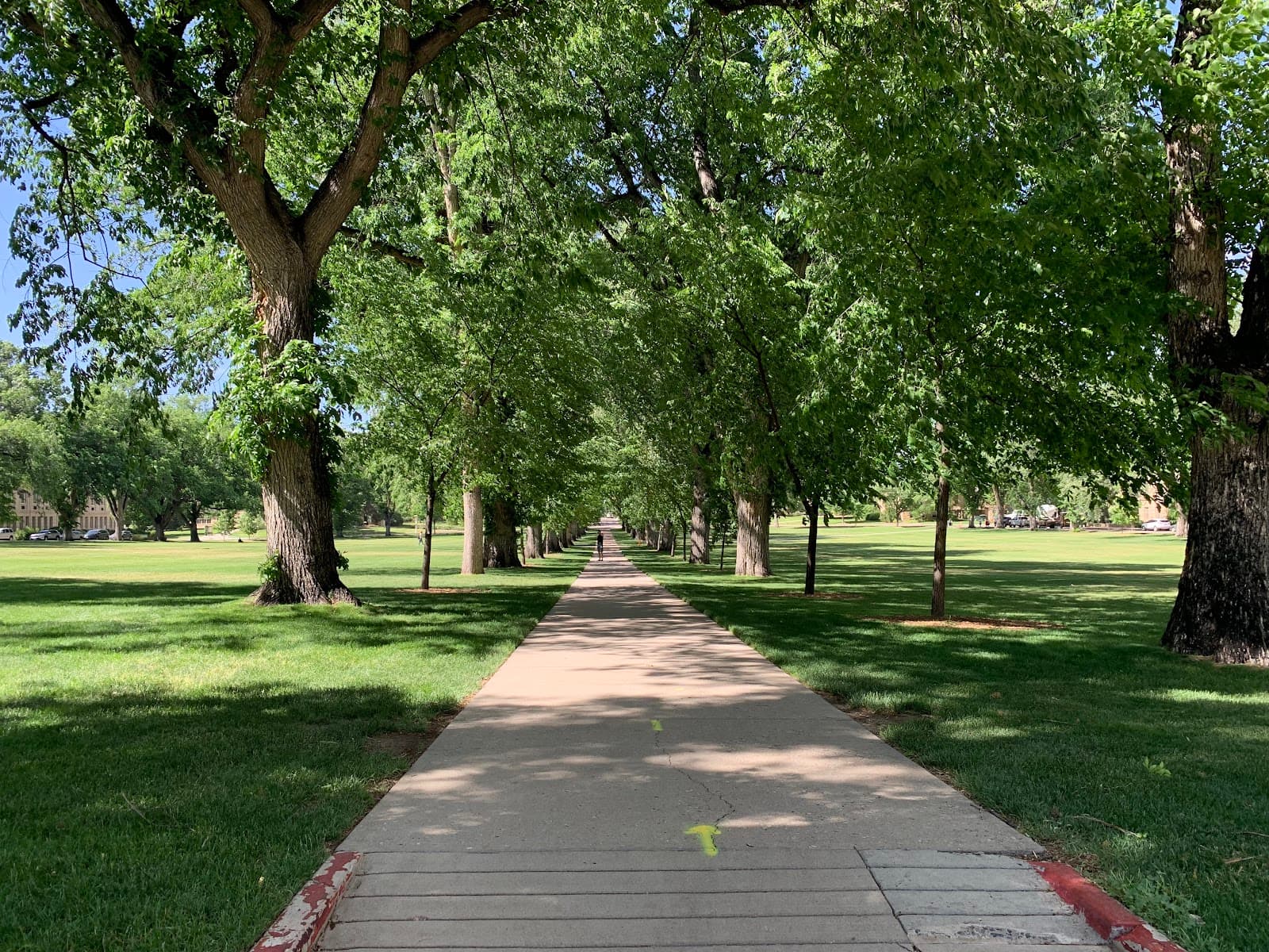 The Oval CSU - Image 1