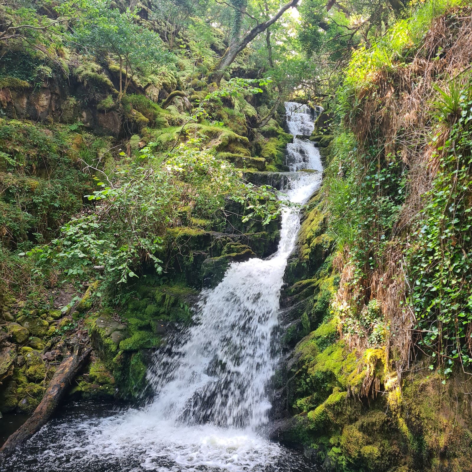 O'Sullivan's Cascade - Image 1
