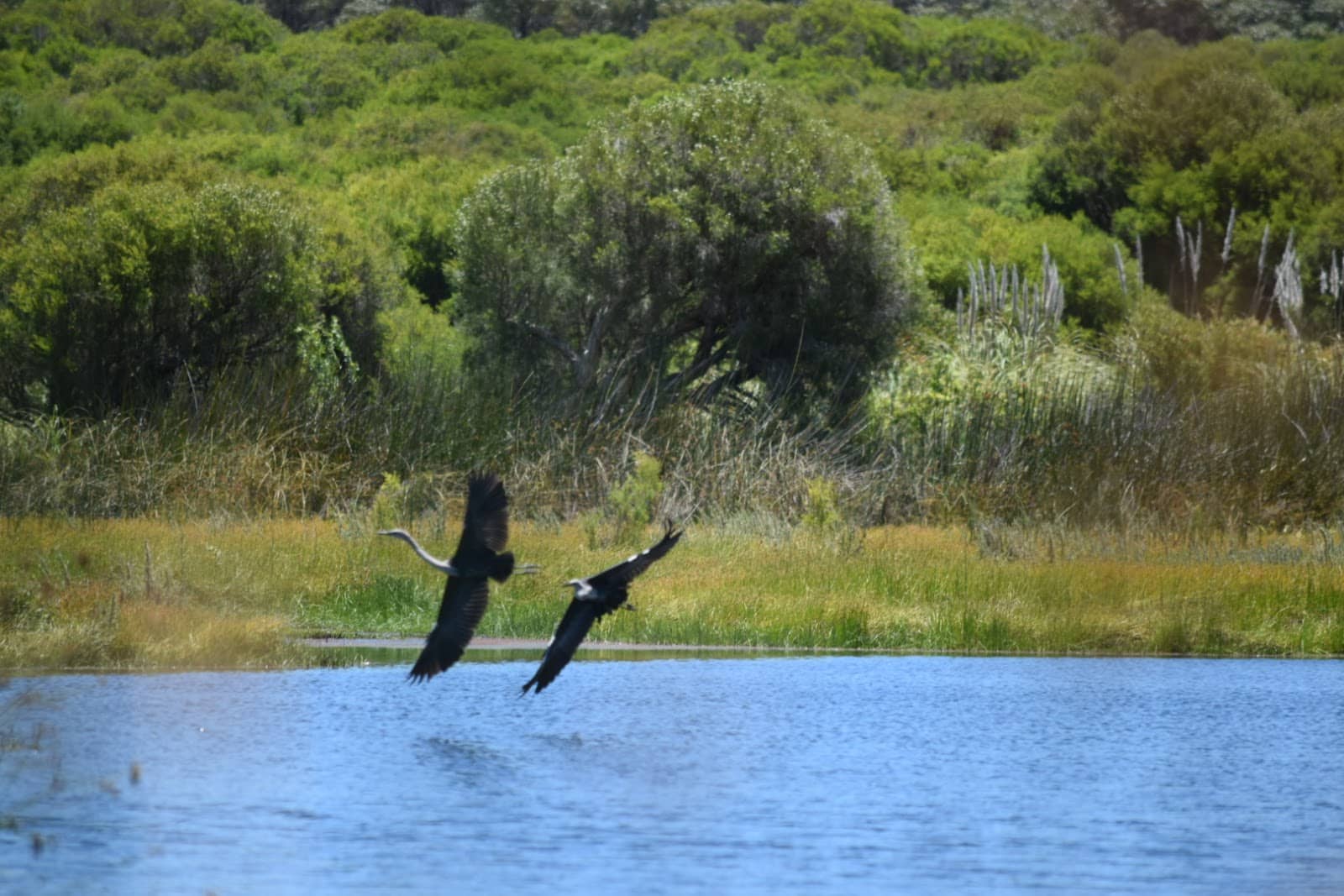 Wetlands Trail