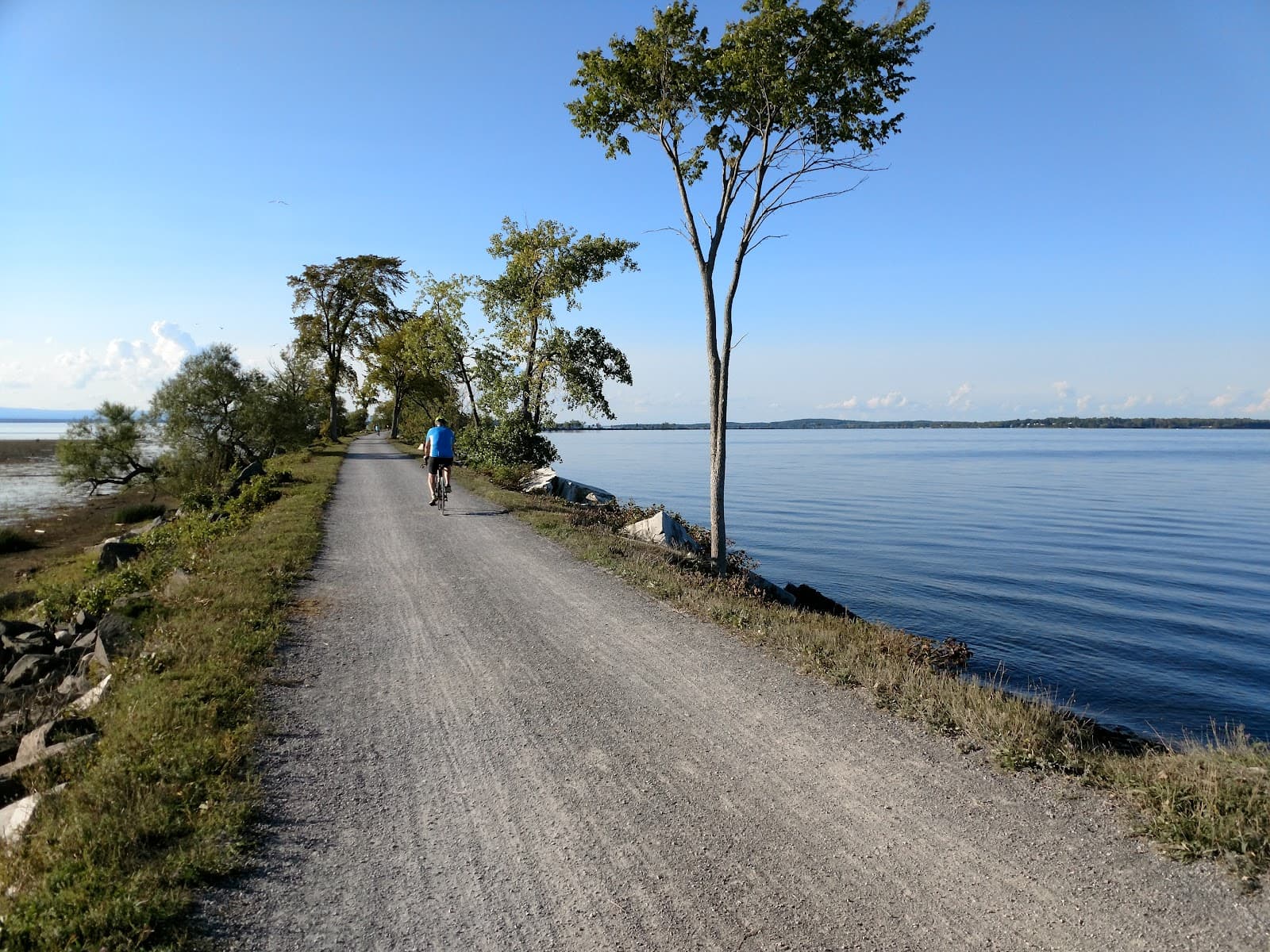 Colchester Causeway - Image 1