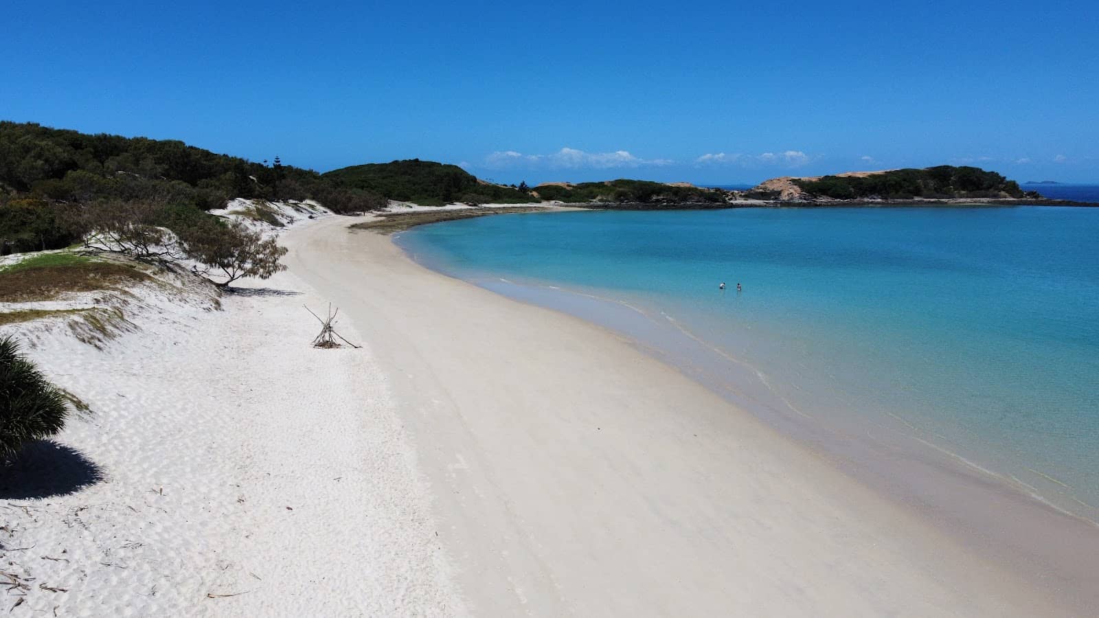 Tropical Tree Swings
