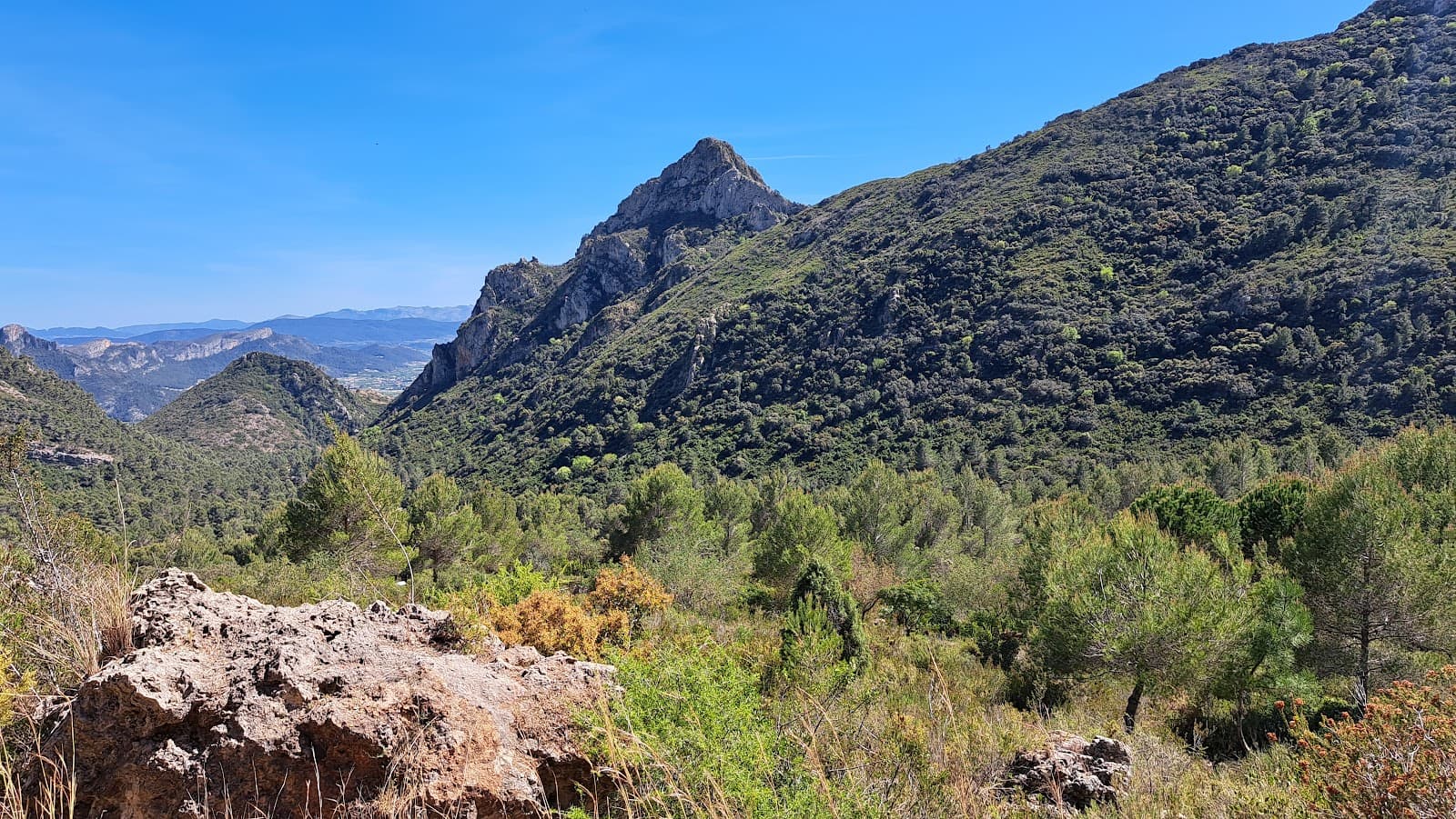 Parpalló-Borrell Natural Park - Image 1