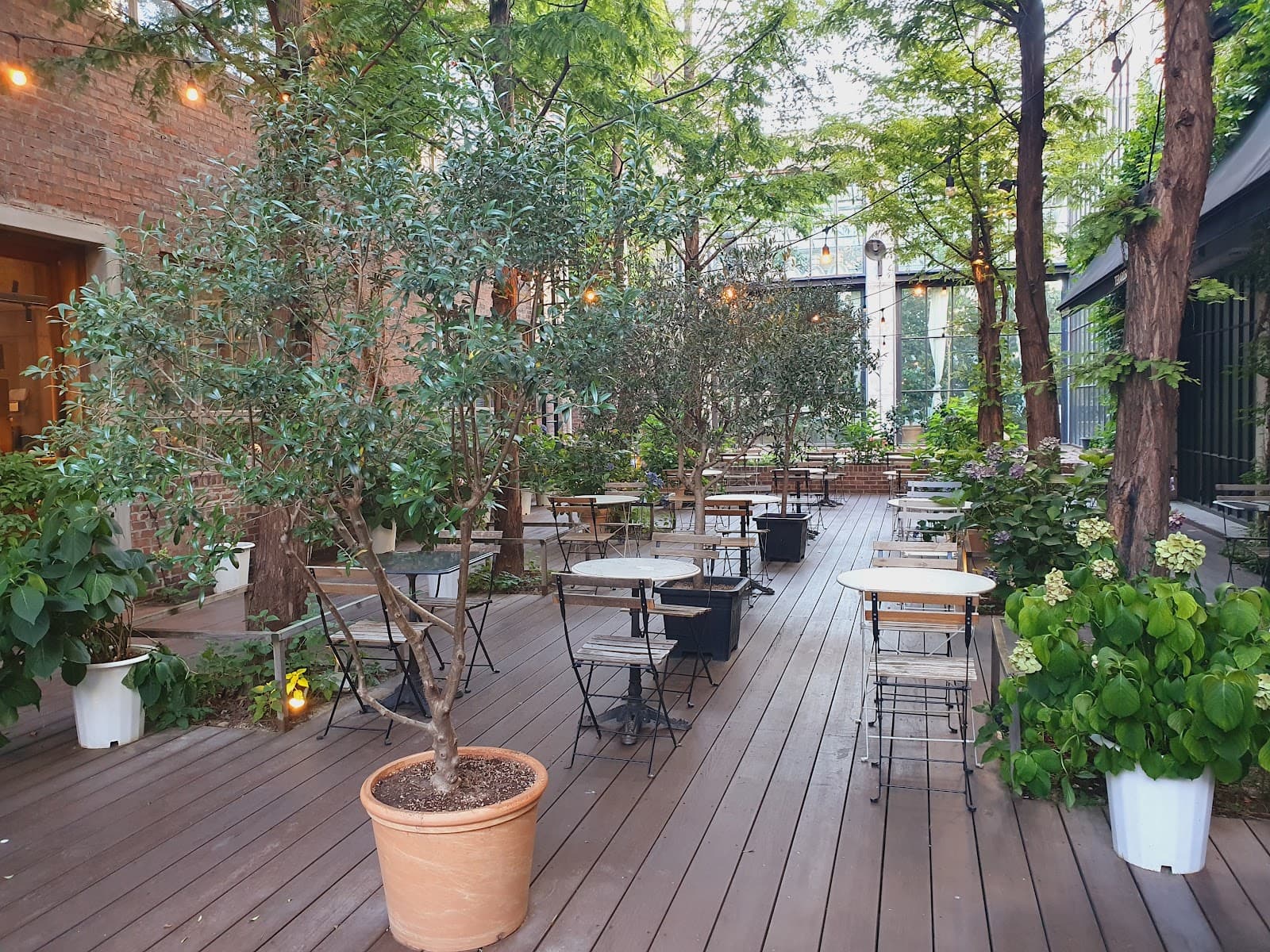 Terarosa Coffee Factory - Image 1