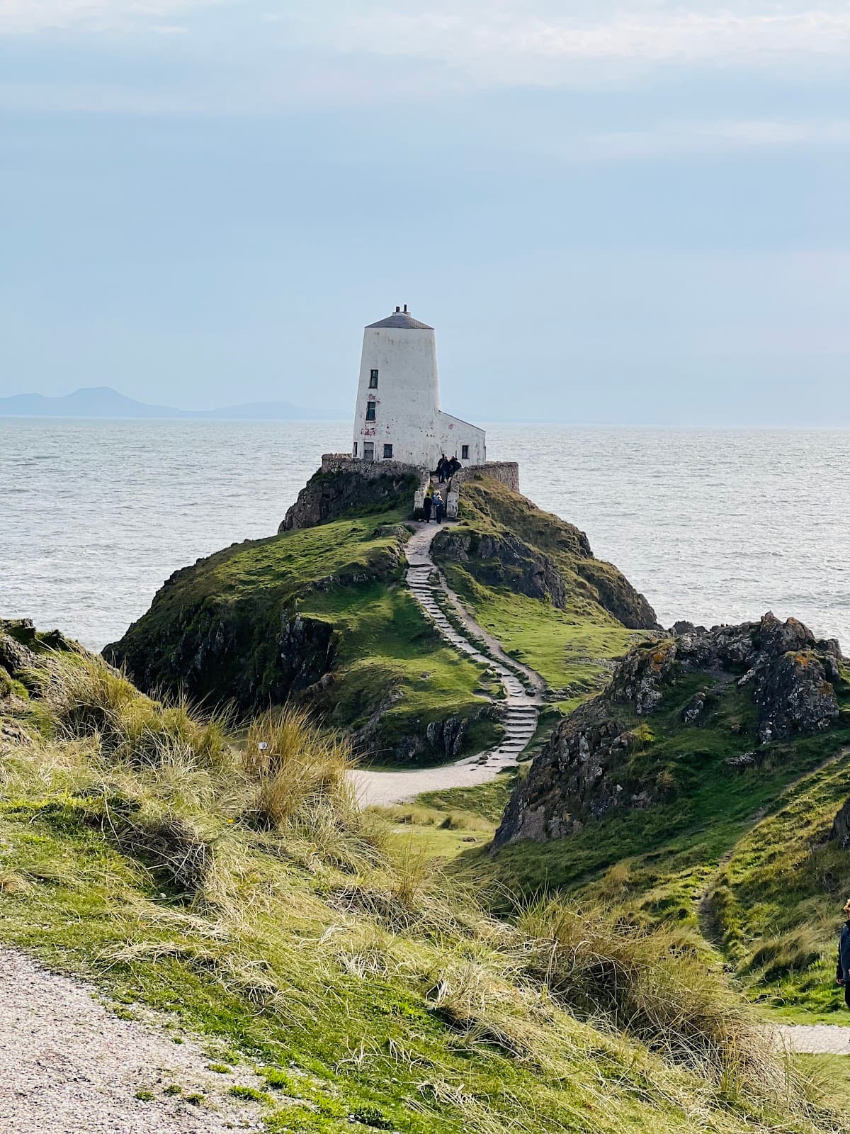 Newborough Beach & Forest - Image 1