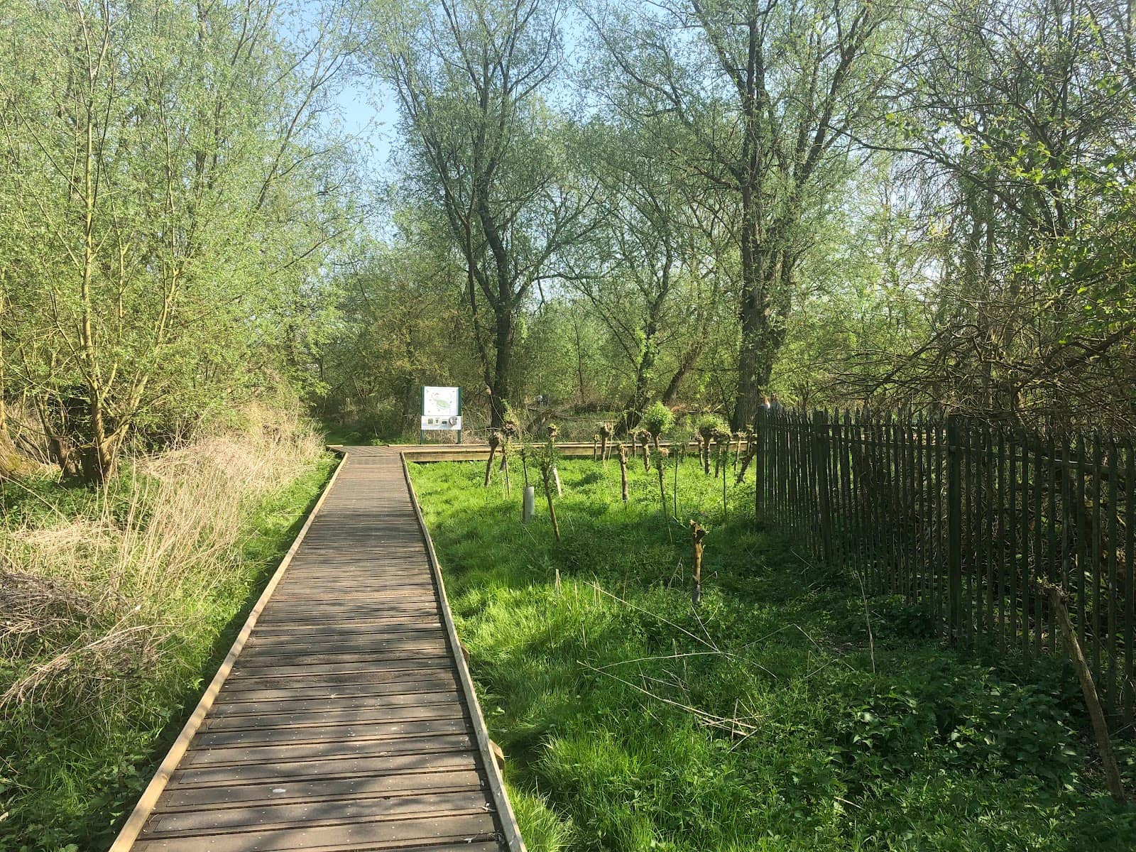 River Views & St Ives Bridge