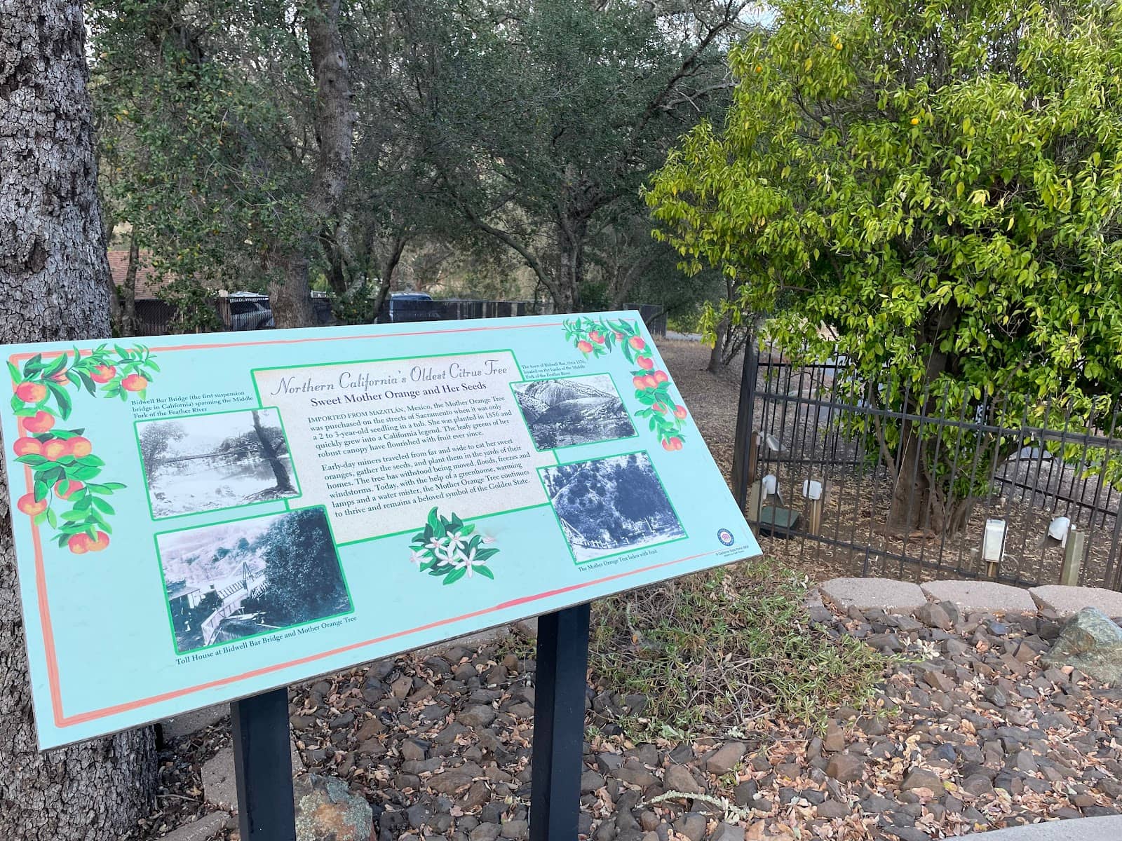 A Slice of Gold Rush History