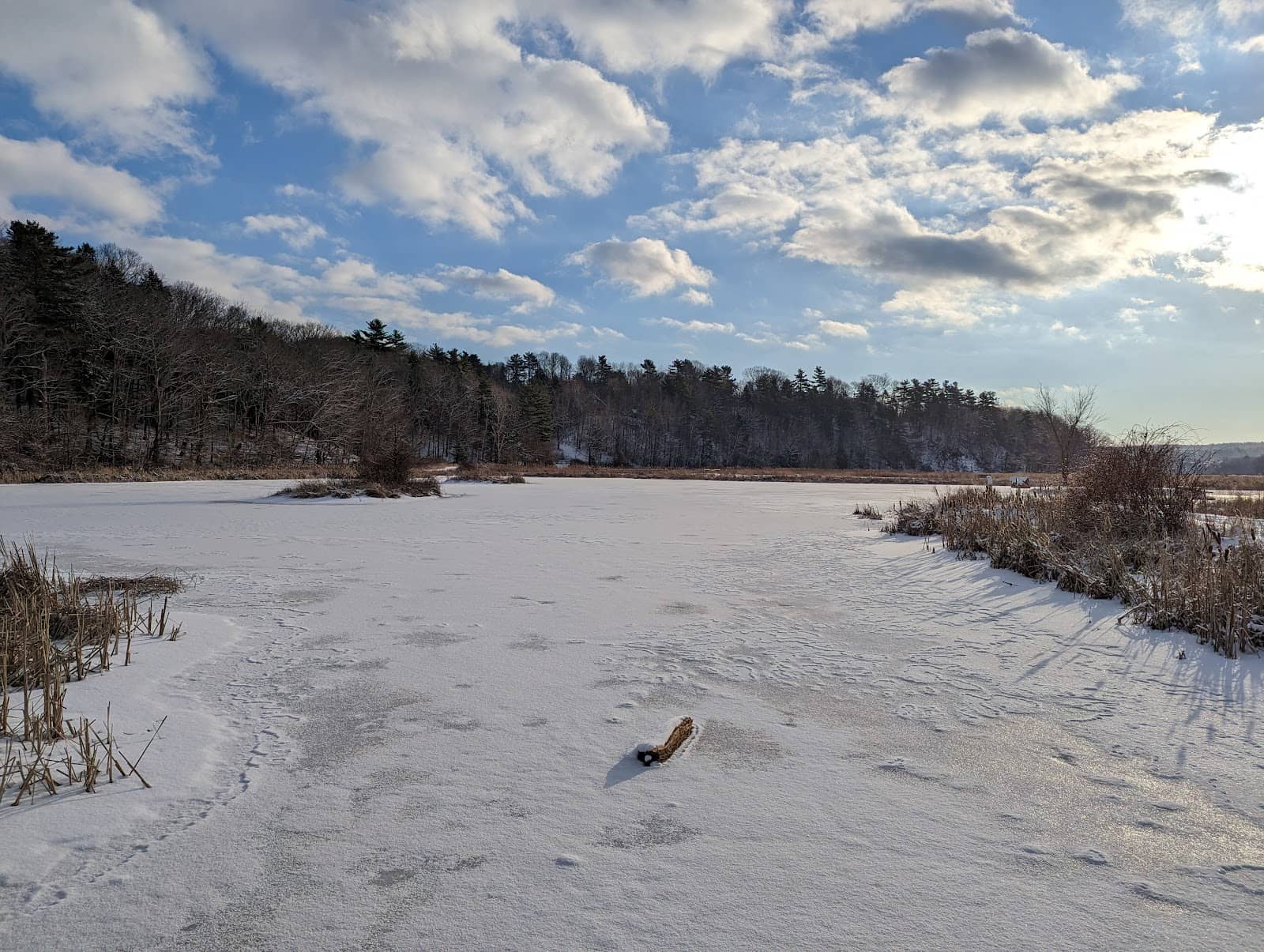 Historical Dykelands