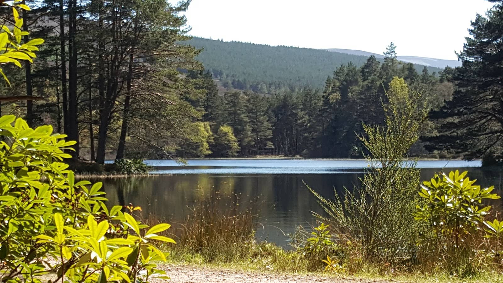 Trout Fishing on the Loch