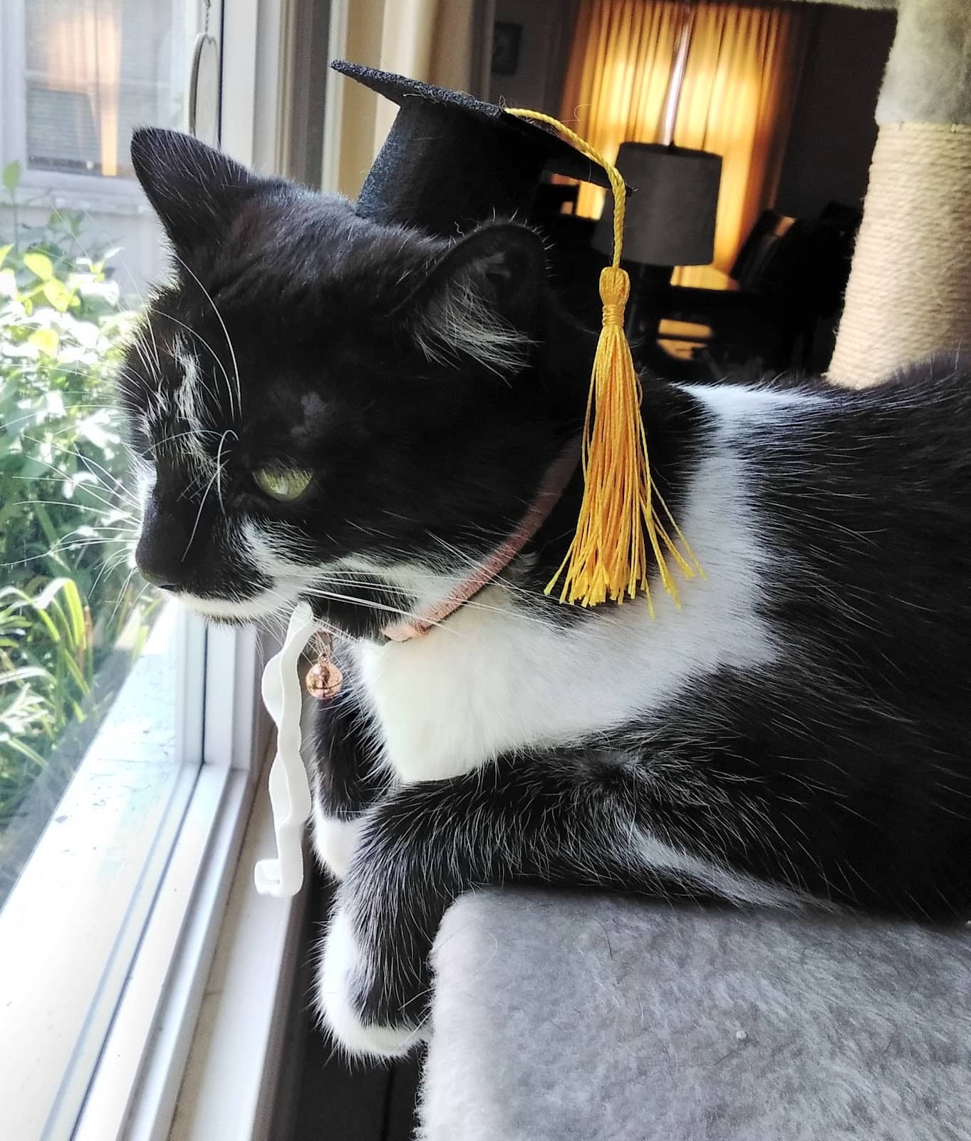 The 'Texas Star' Mural