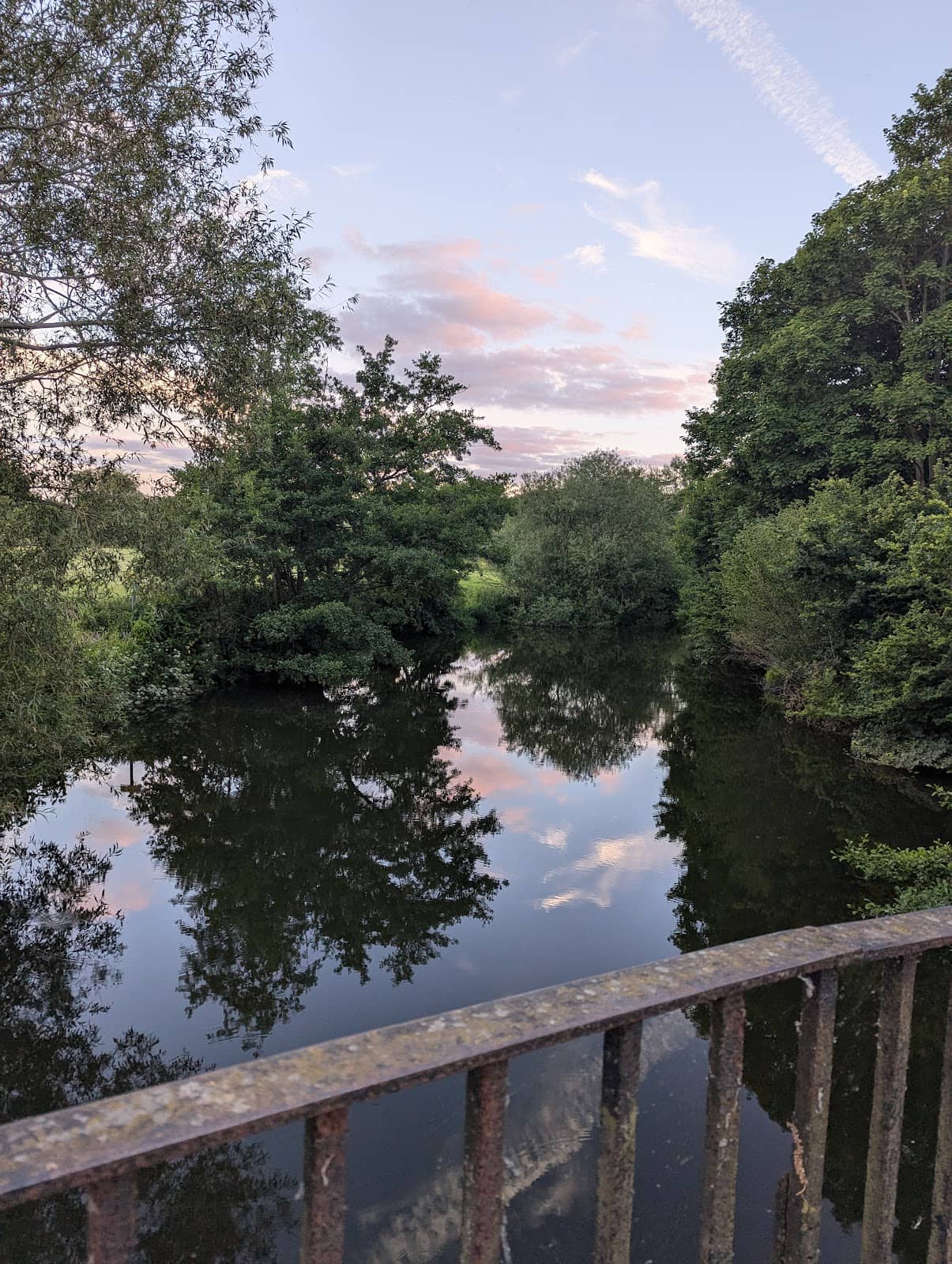 Surrounding Nature Trails
