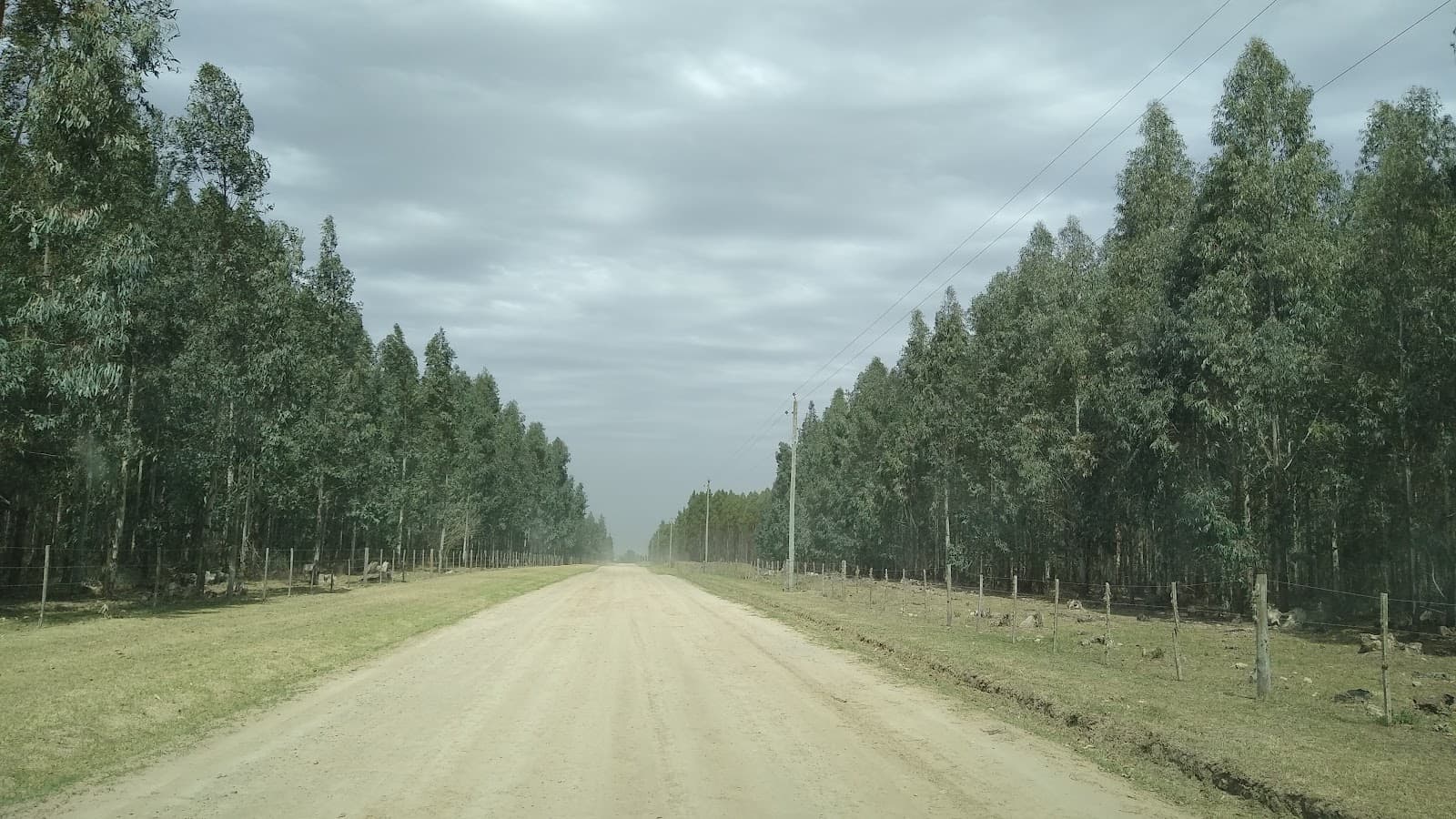 Gobernador Castro - Image 1