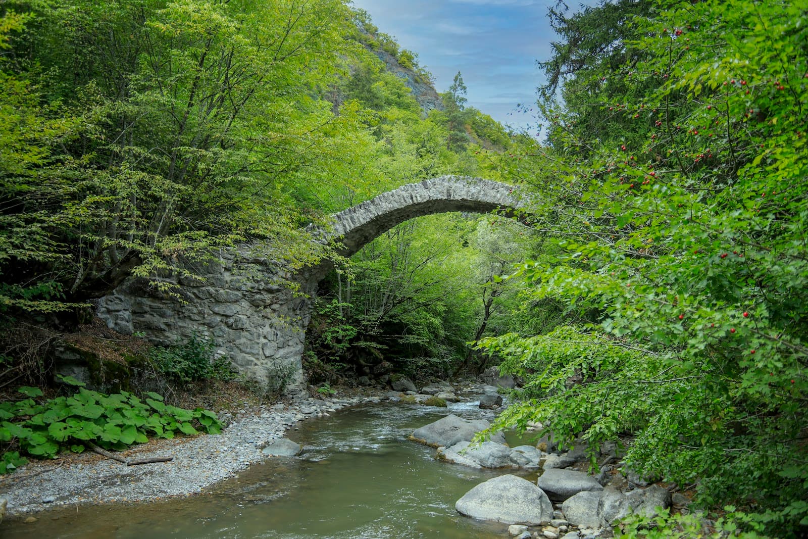 Tamar's Bridge (Rkoni) - Image 1
