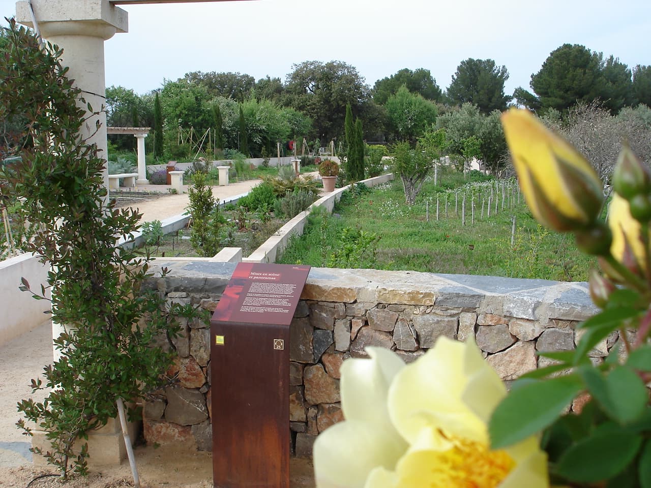 Jardin Antique Méditerranéen (Balaruc) - Image 1