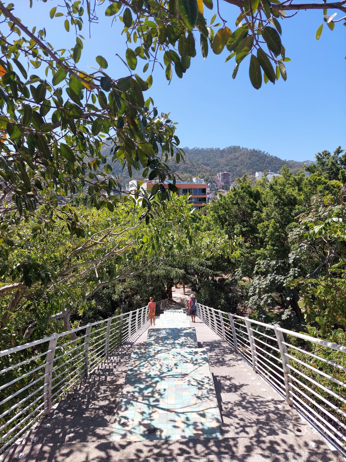 Iguana Bridge - Image 1