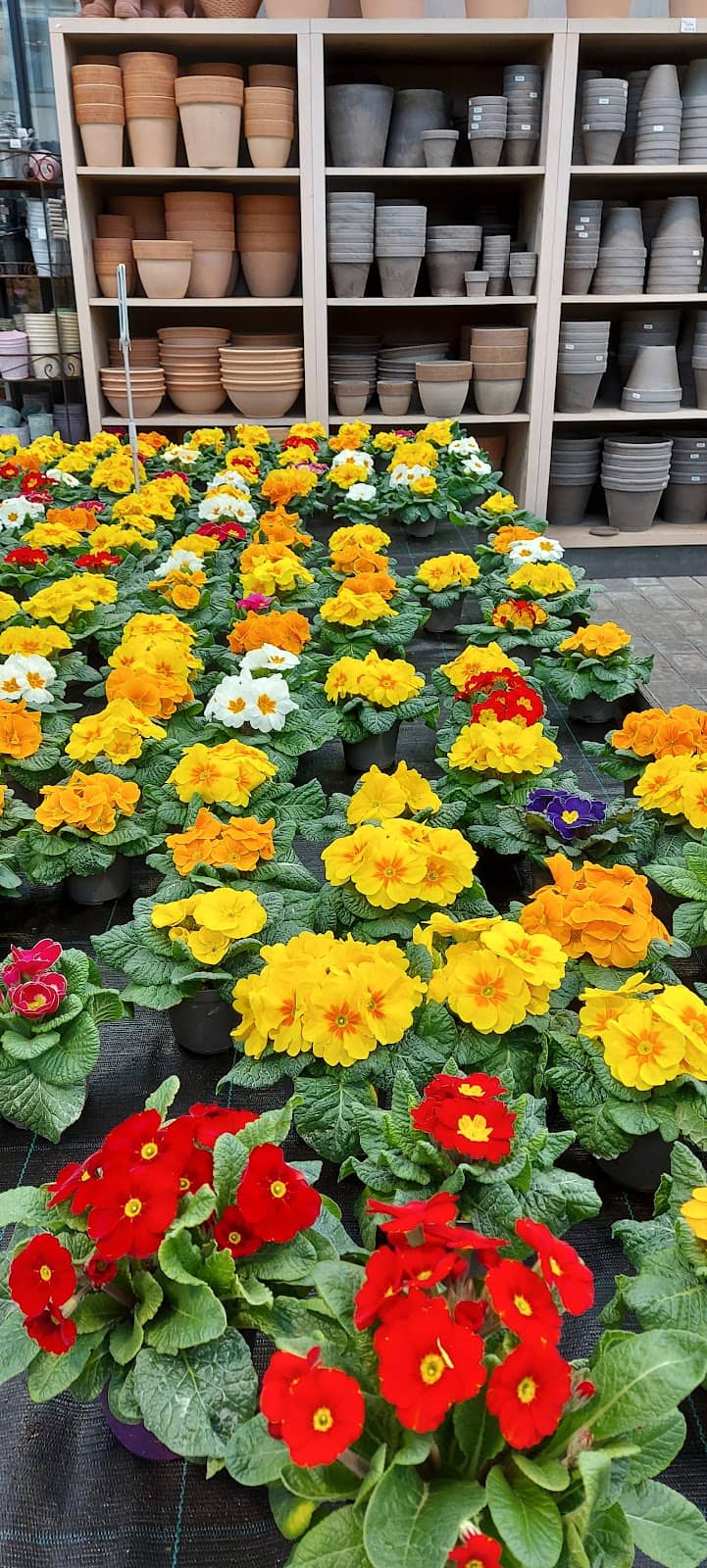 Local Art Exhibitions