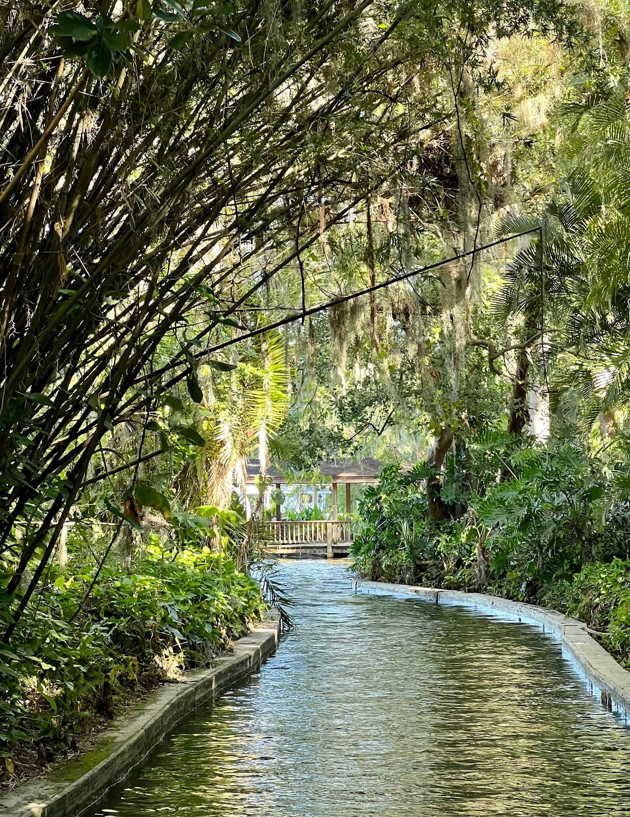 Winter Park Canals - Image 1