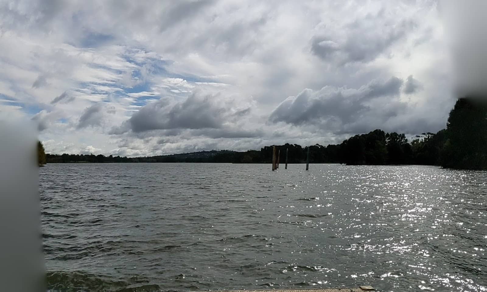 Birdwatching Opportunities