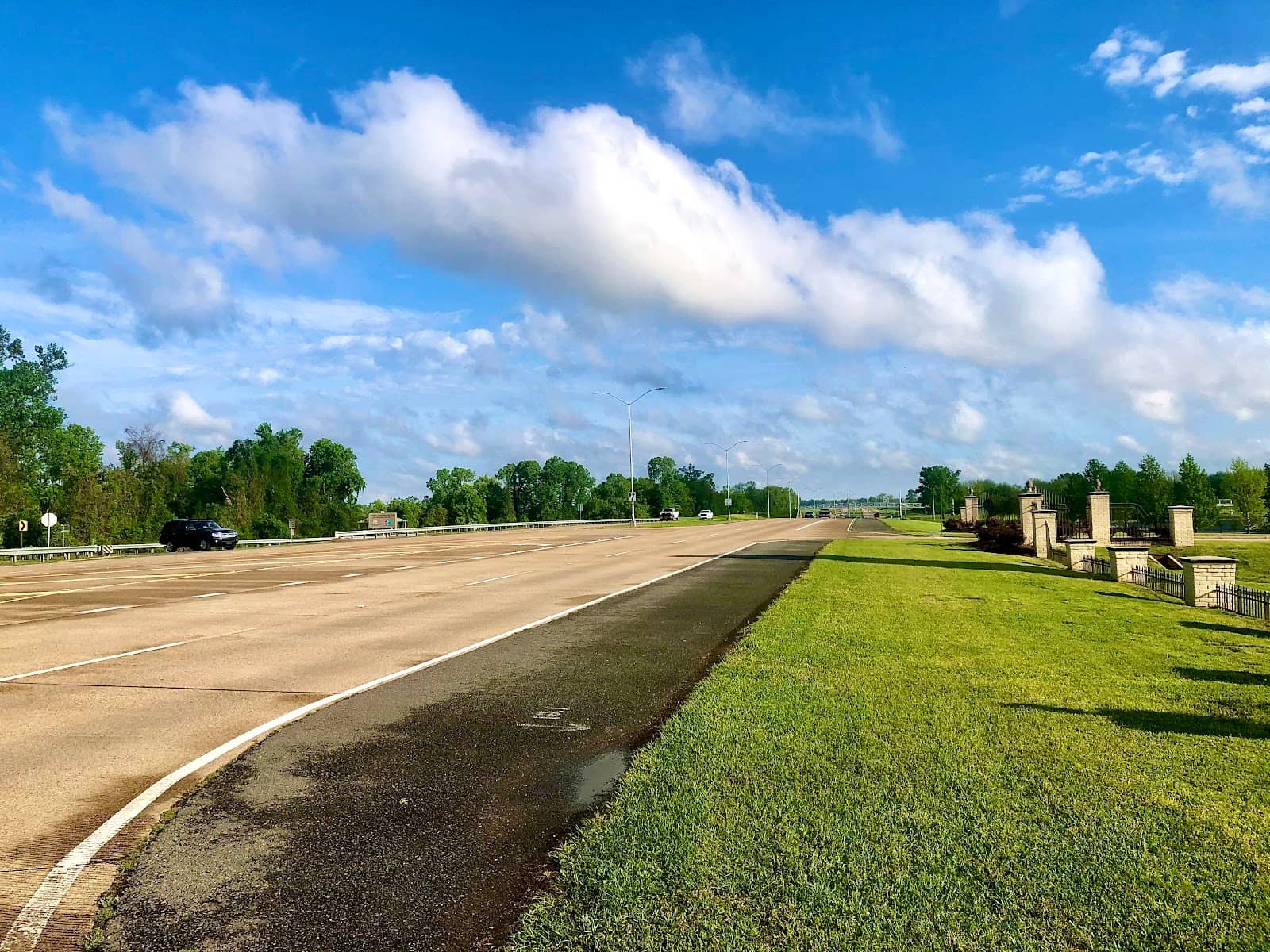 Wildlife Viewing Opportunities