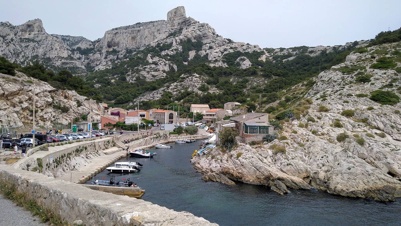 Local Seafood Delights