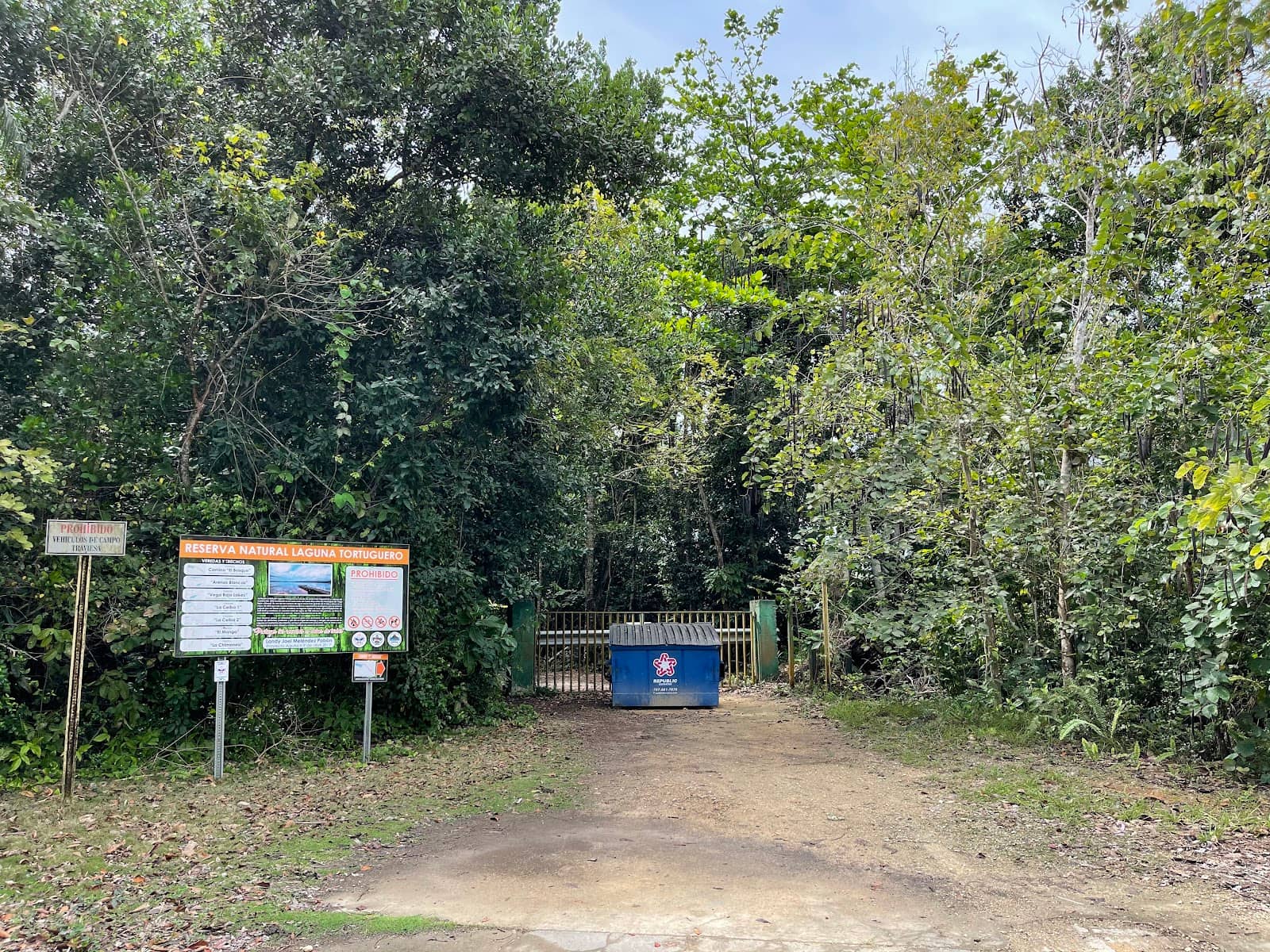 Peaceful Outdoor Activities