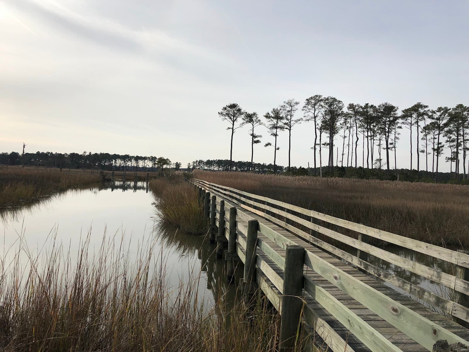 Ragged Island Wildlife Management Area - Image 1