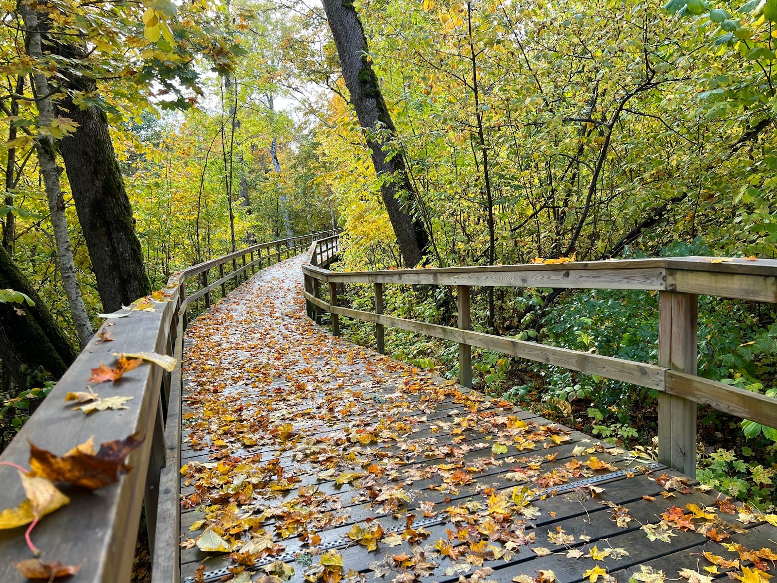 Vårdsätra Nature Reserve and Jetty - Image 1