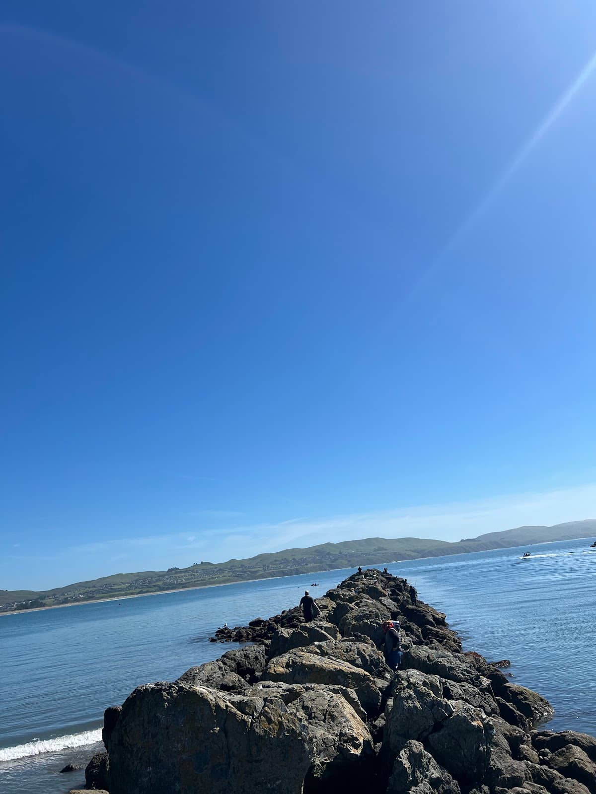 Fishetarian Fish Market