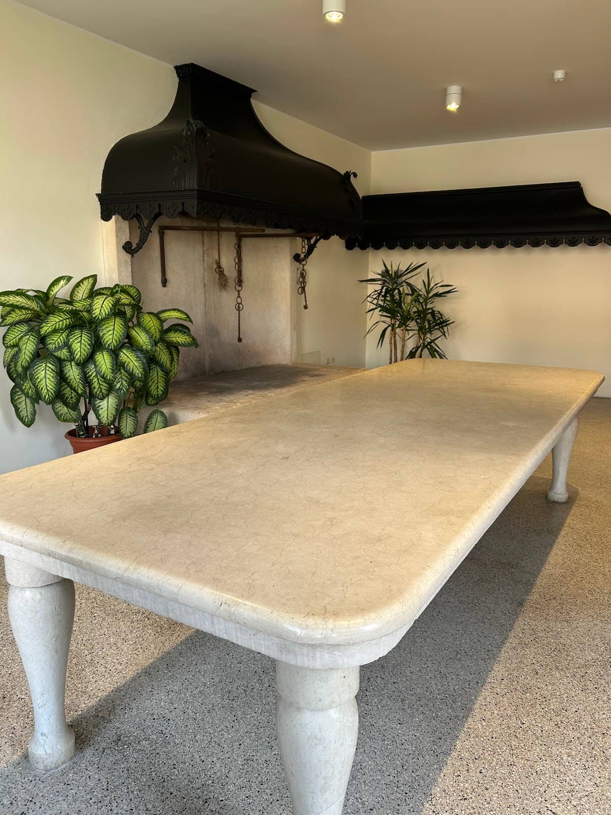 Passionate Guided Tours