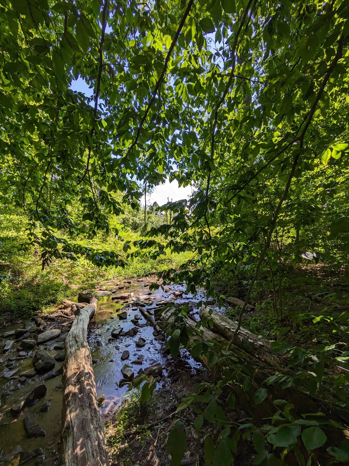 Honey Hollow Environmental Education Center - Image 1