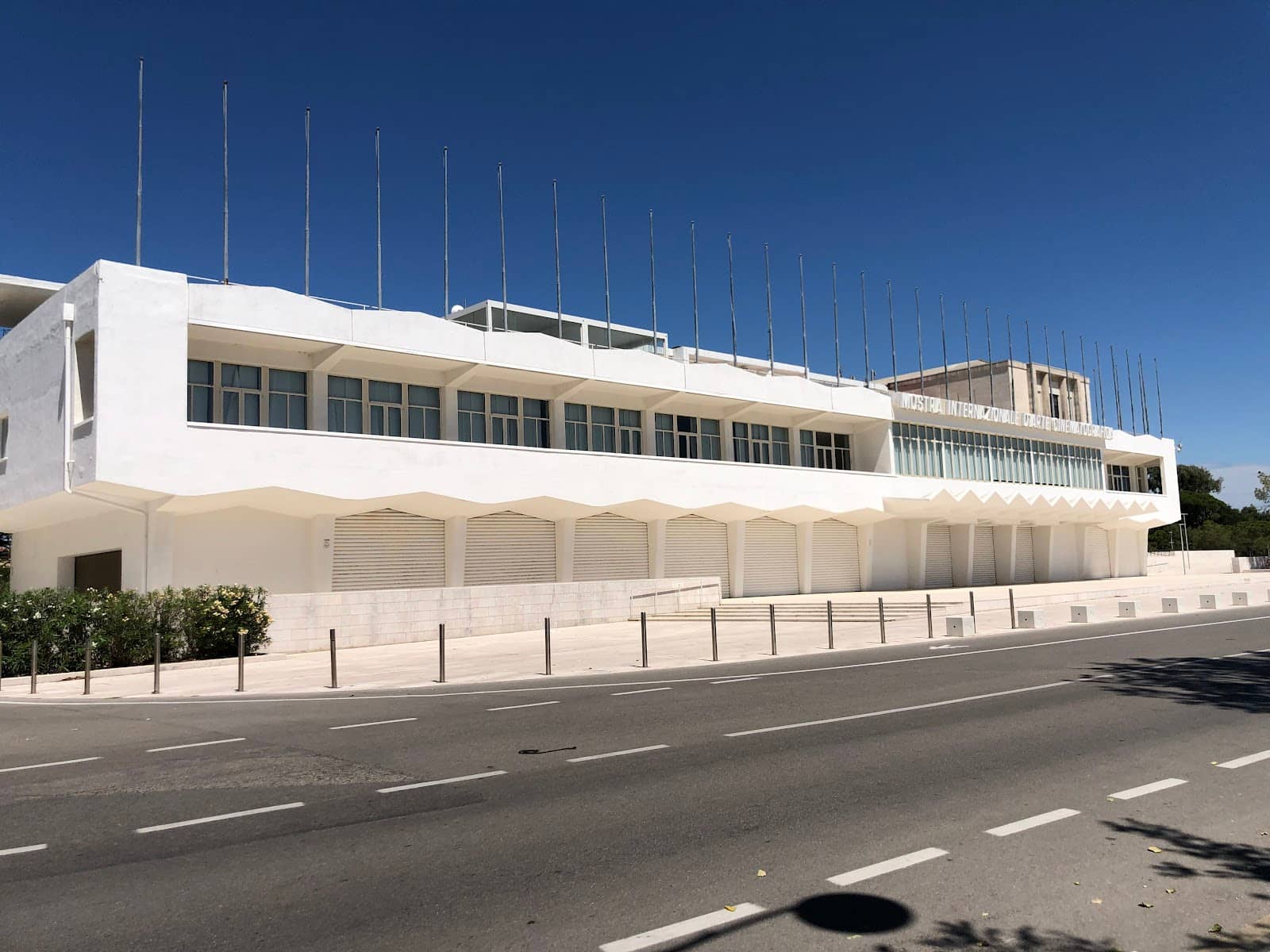 Star-Studded Fashion