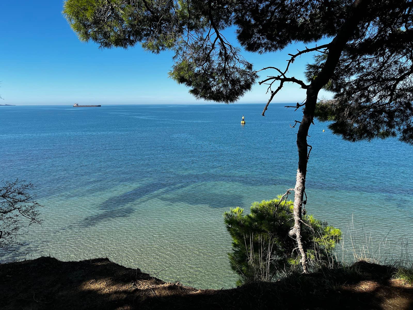 Rocky Beaches & Pine Forests