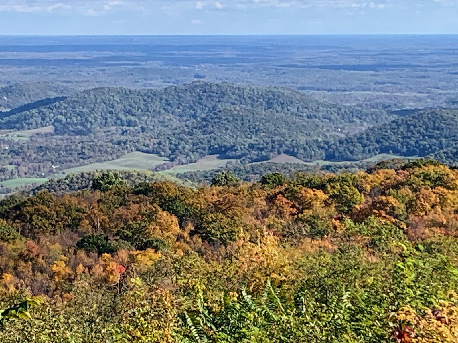 Gooney Manor Overlook - Image 1