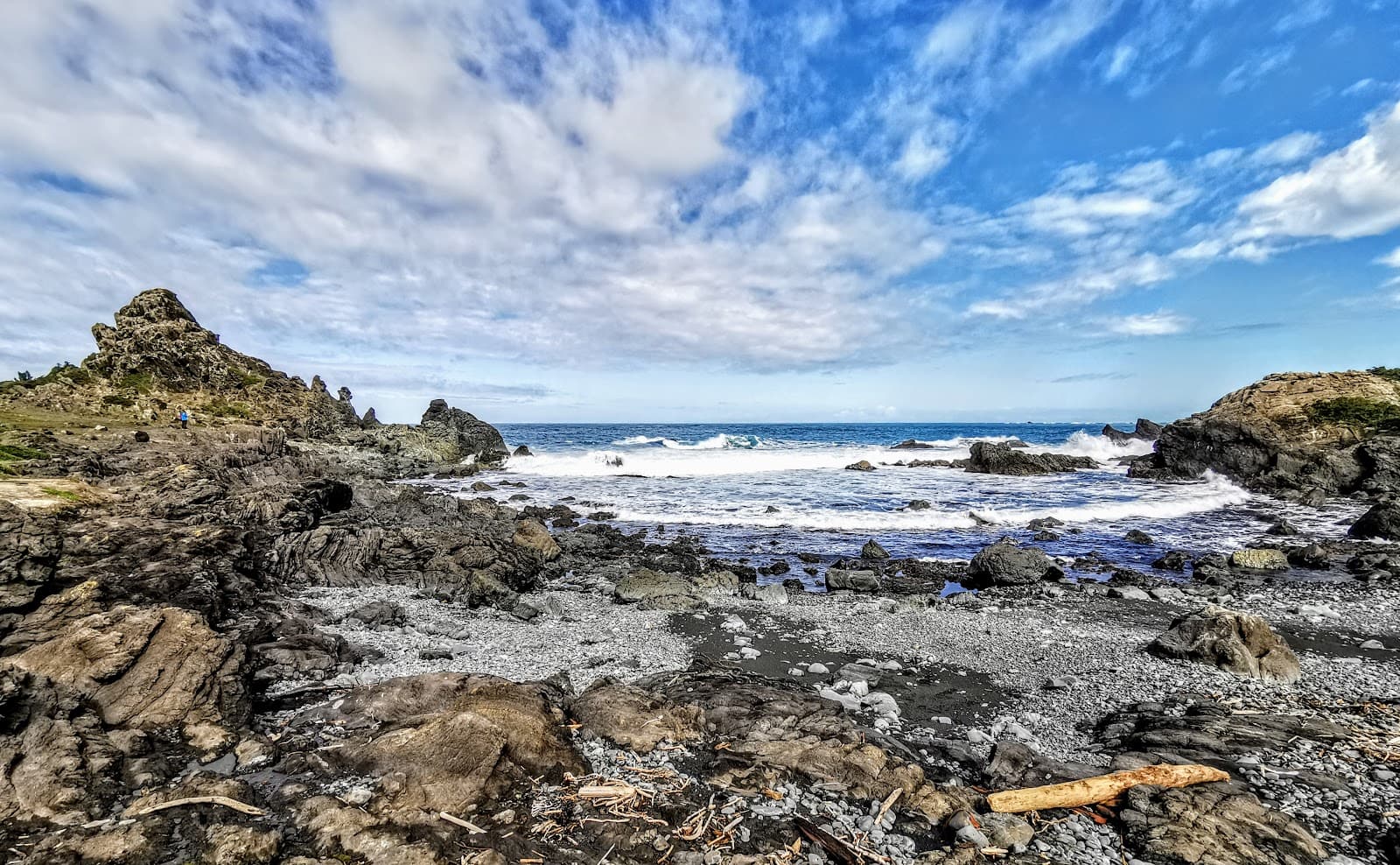 Ngawi Seal Colony - Image 1