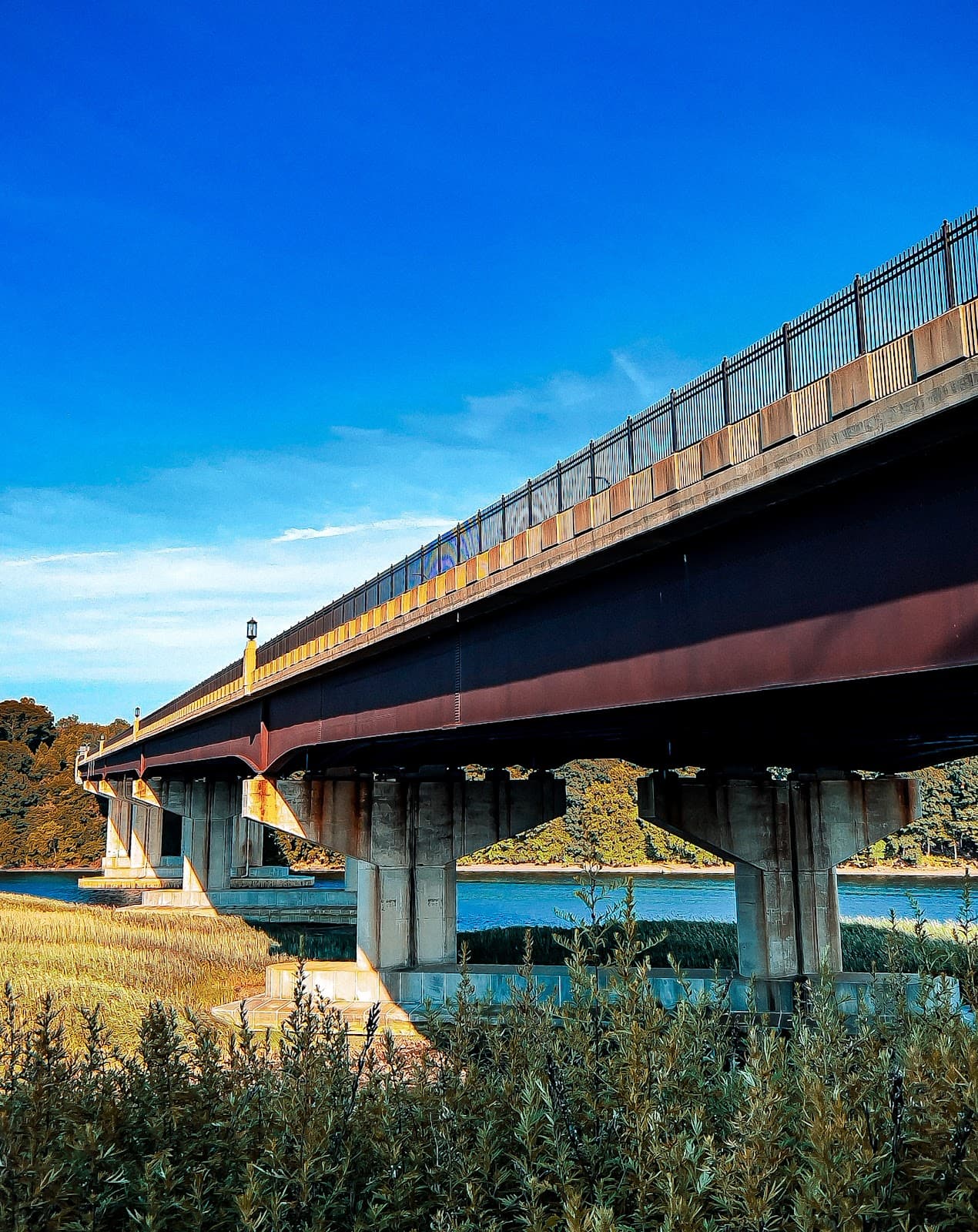 Sikorsky Memorial Bridge - Image 1