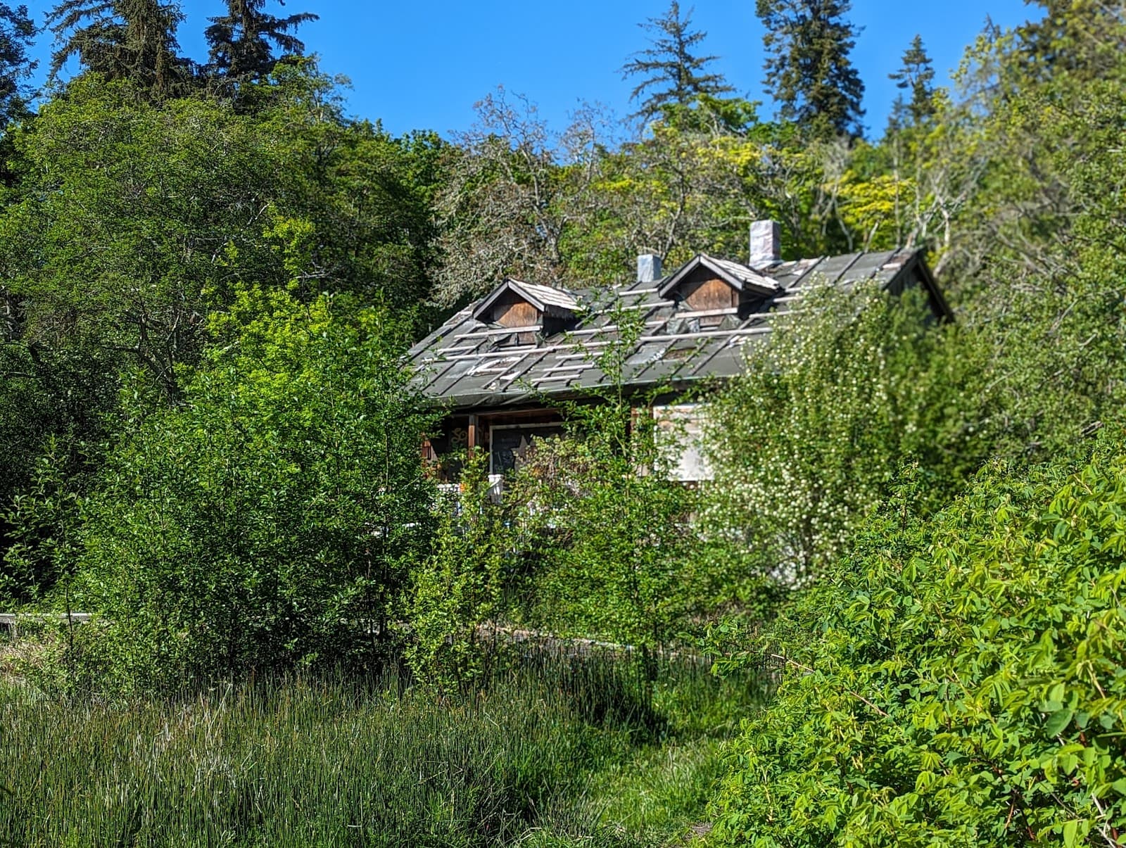 Mack Laing Nature Park - Image 1